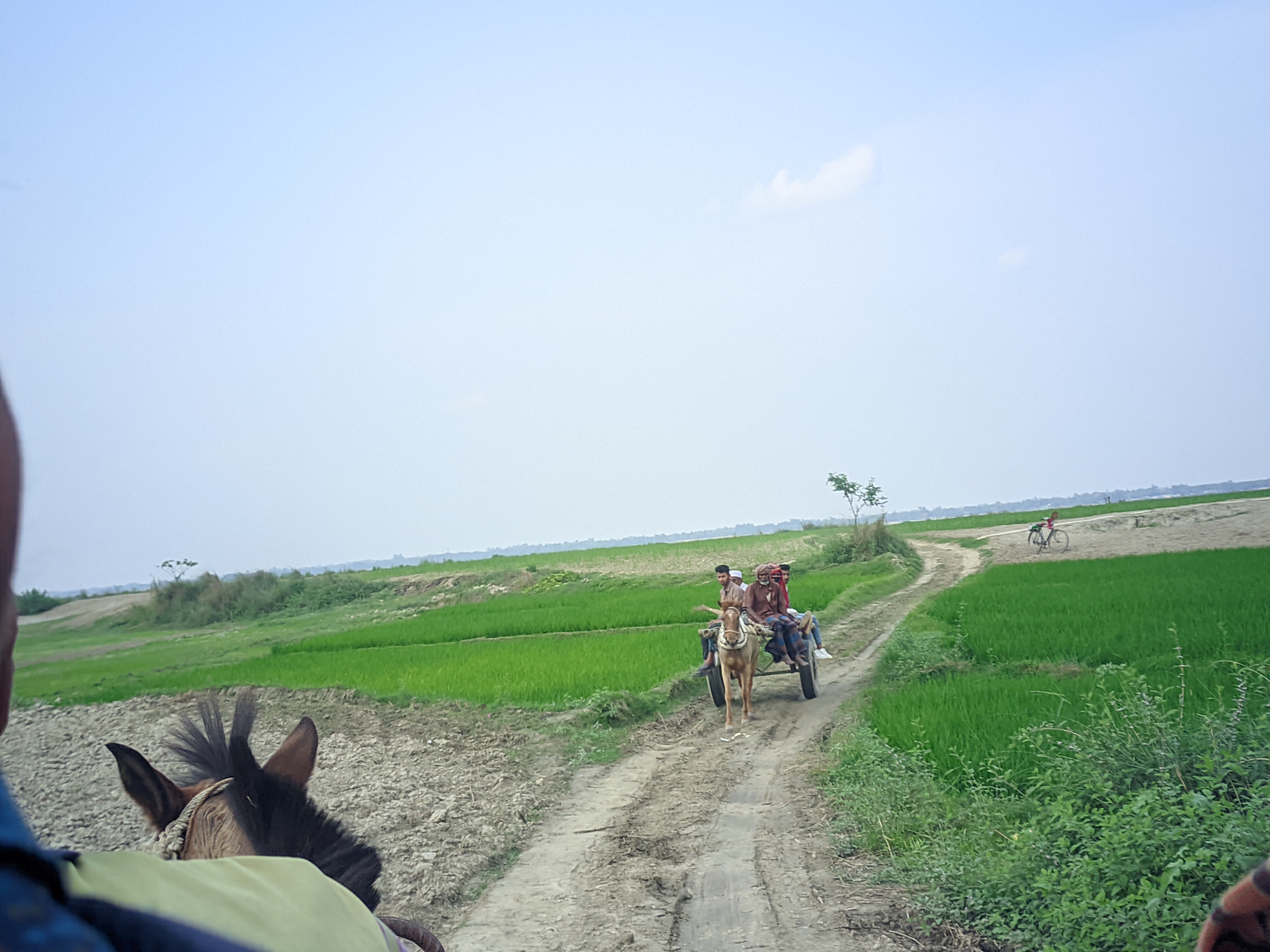 Riyan_20240321_162226_📸DSLR X Plus (LMC17) by Riyan.jpg