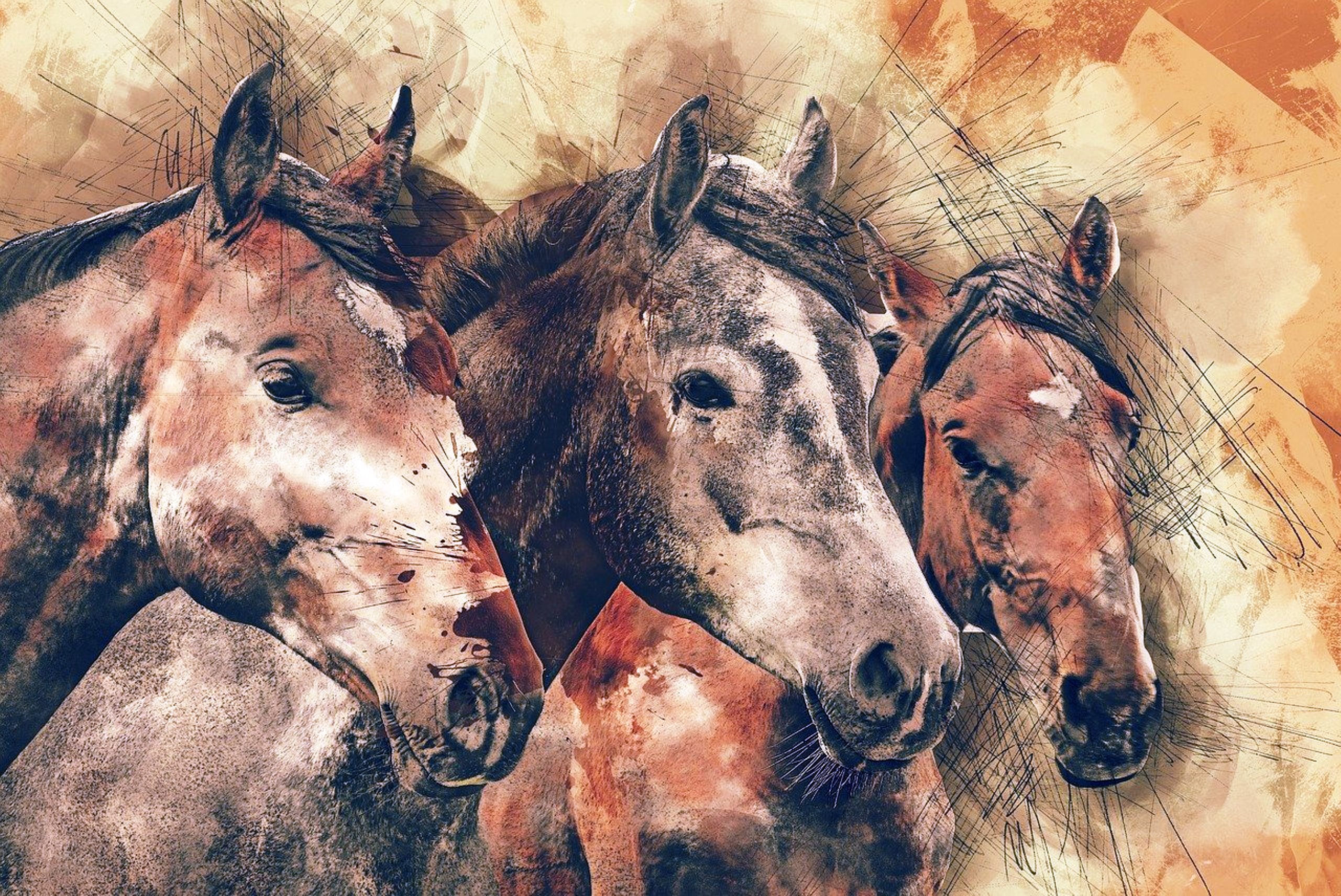 horses-1596288_1280.jpg