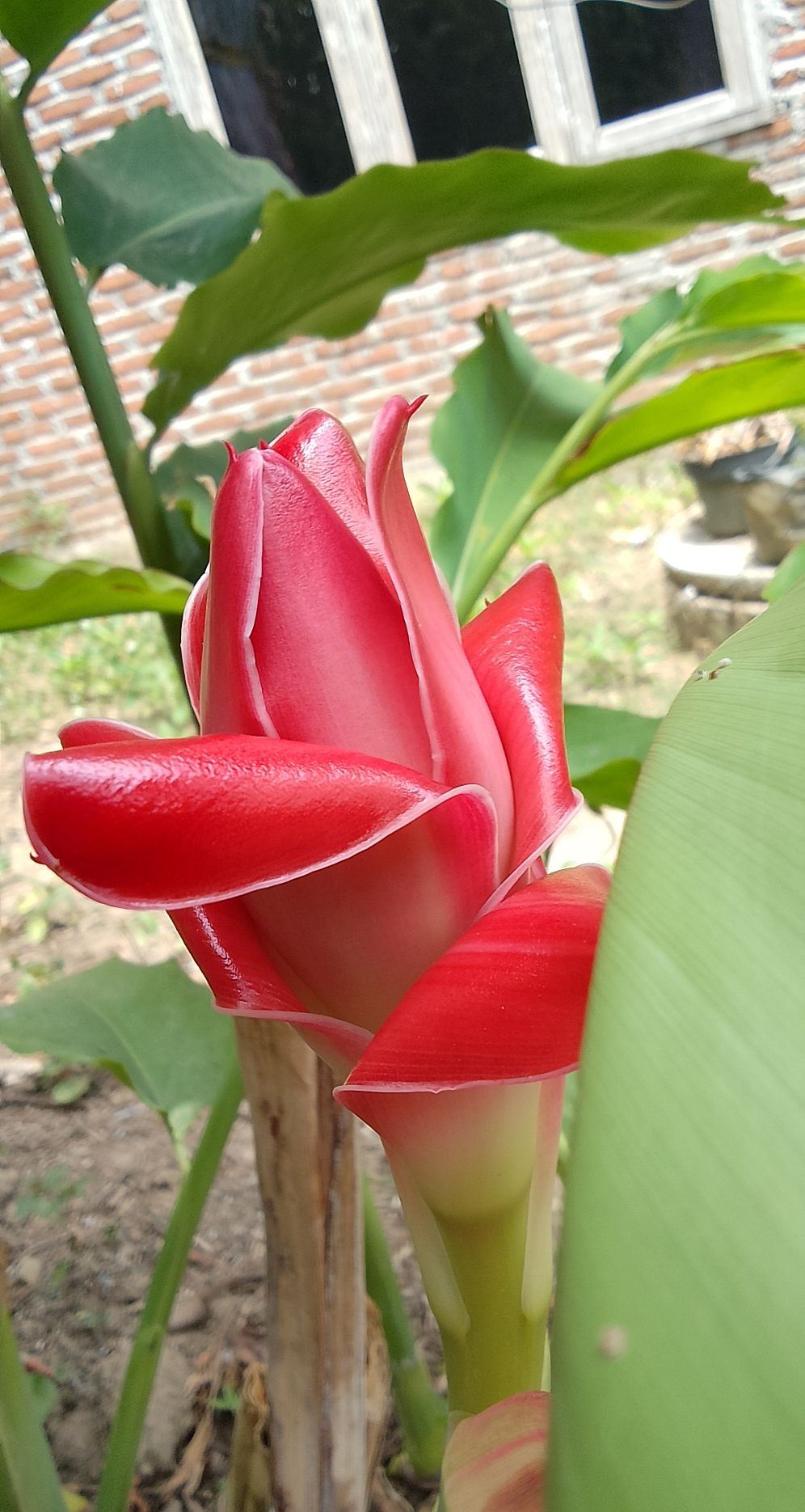 IMG_20240414_113557_HDR~2.jpg