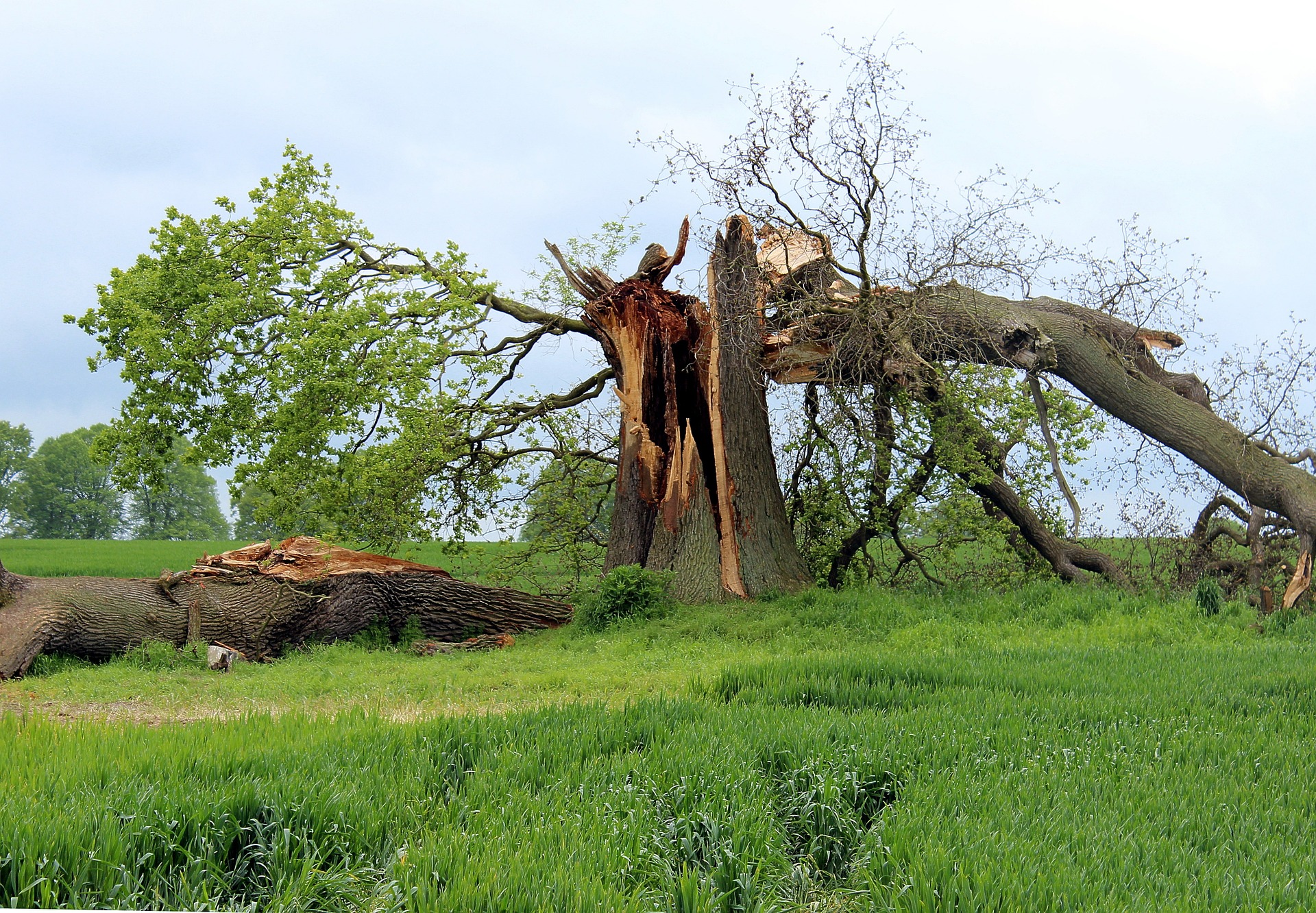 storm-damage-597217_1920.jpg