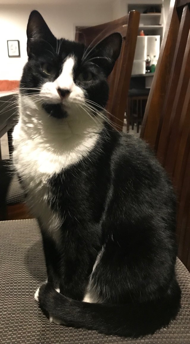 smudge.jfif