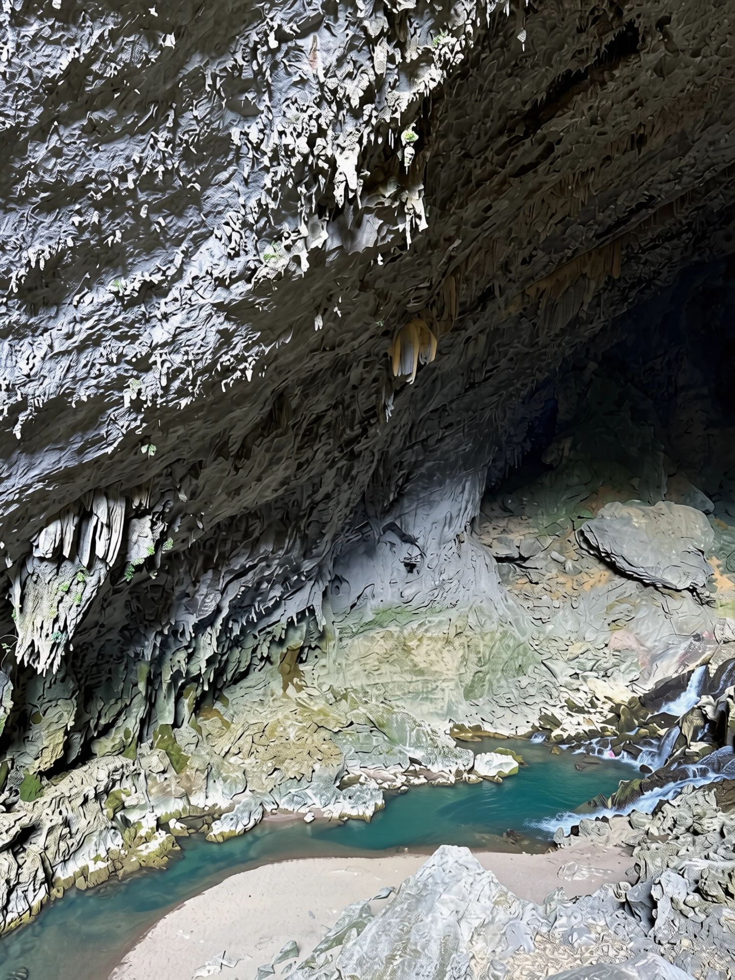 262.webp