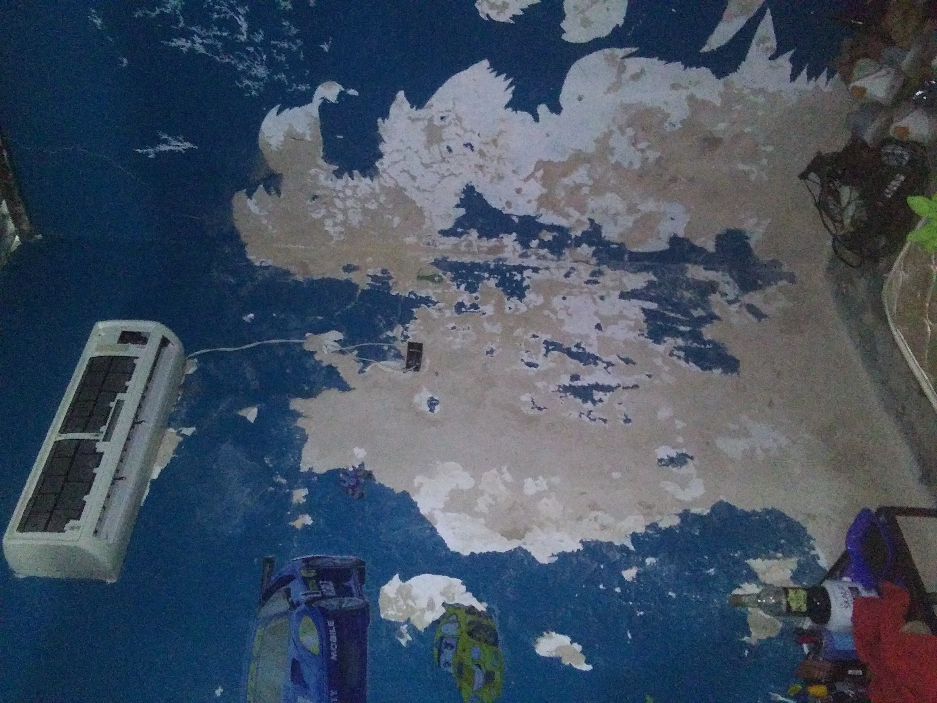 20210904_133959.jpg