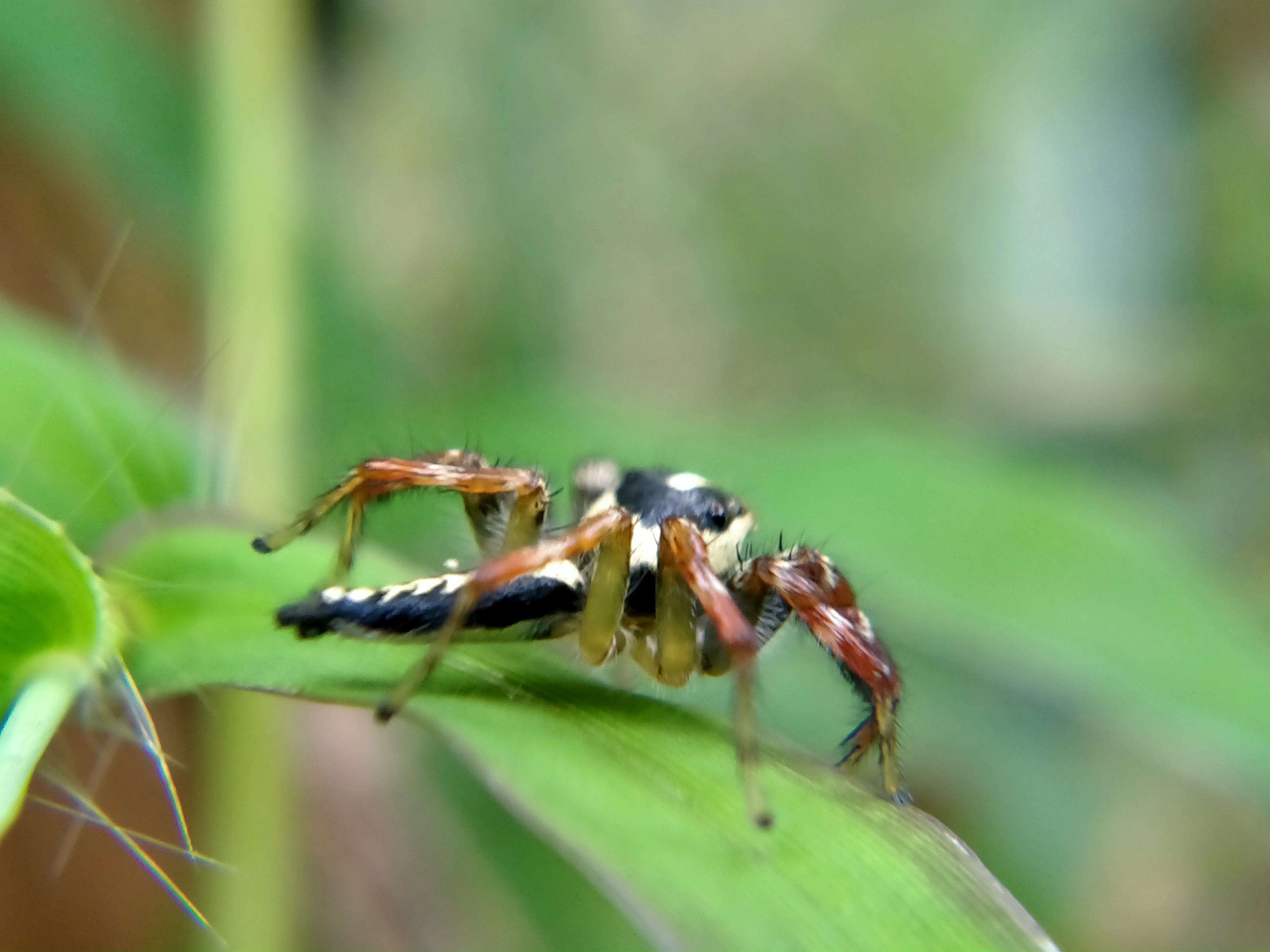 IMG20220124162237.jpg