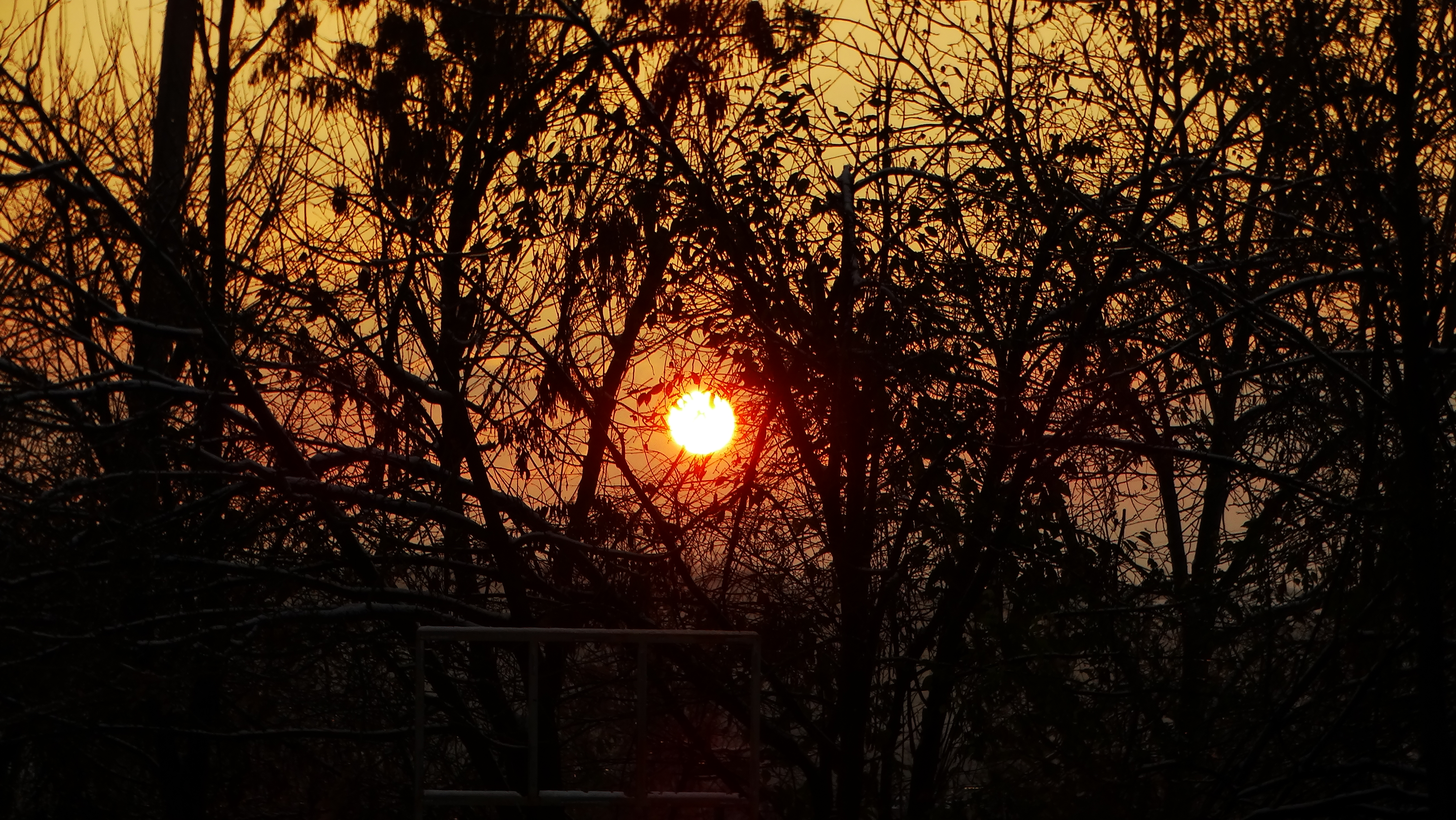 DSC03526.JPG