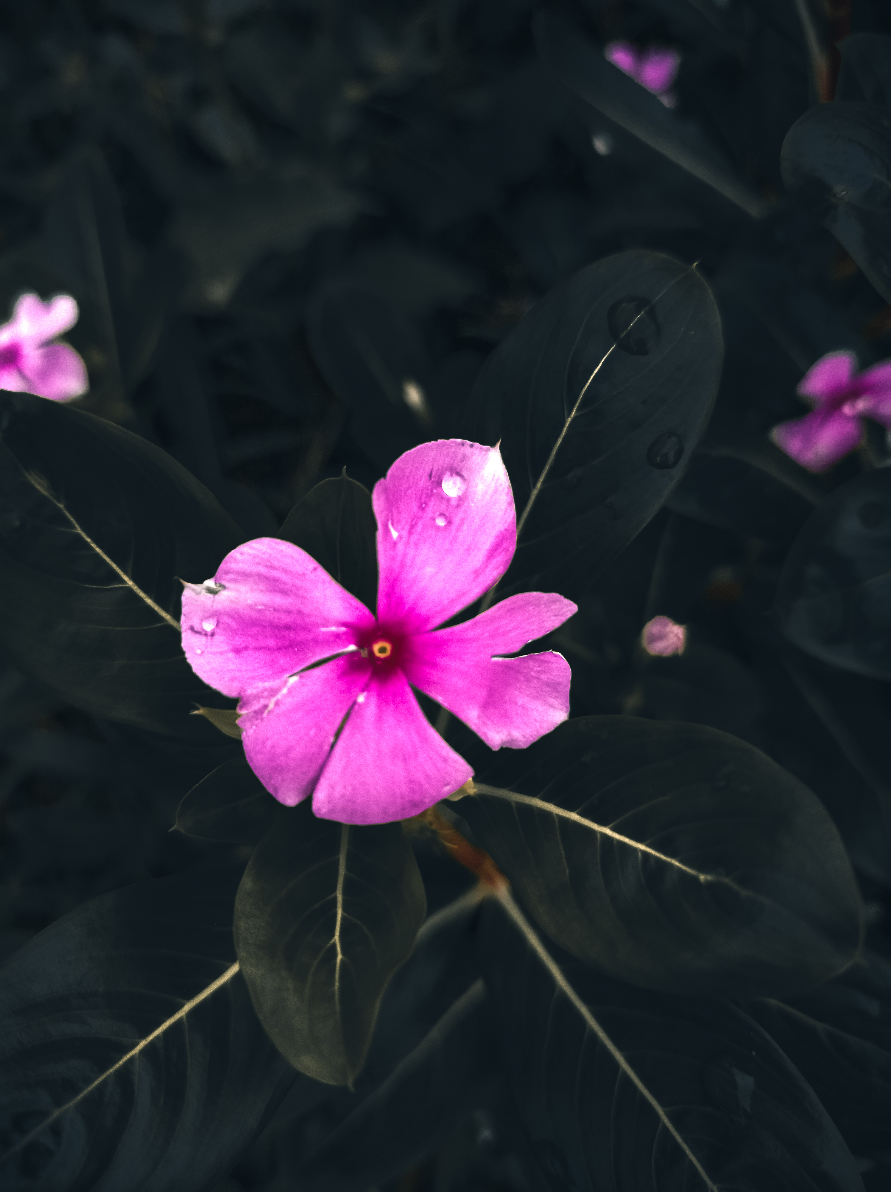 1624012751840 (1).jpg