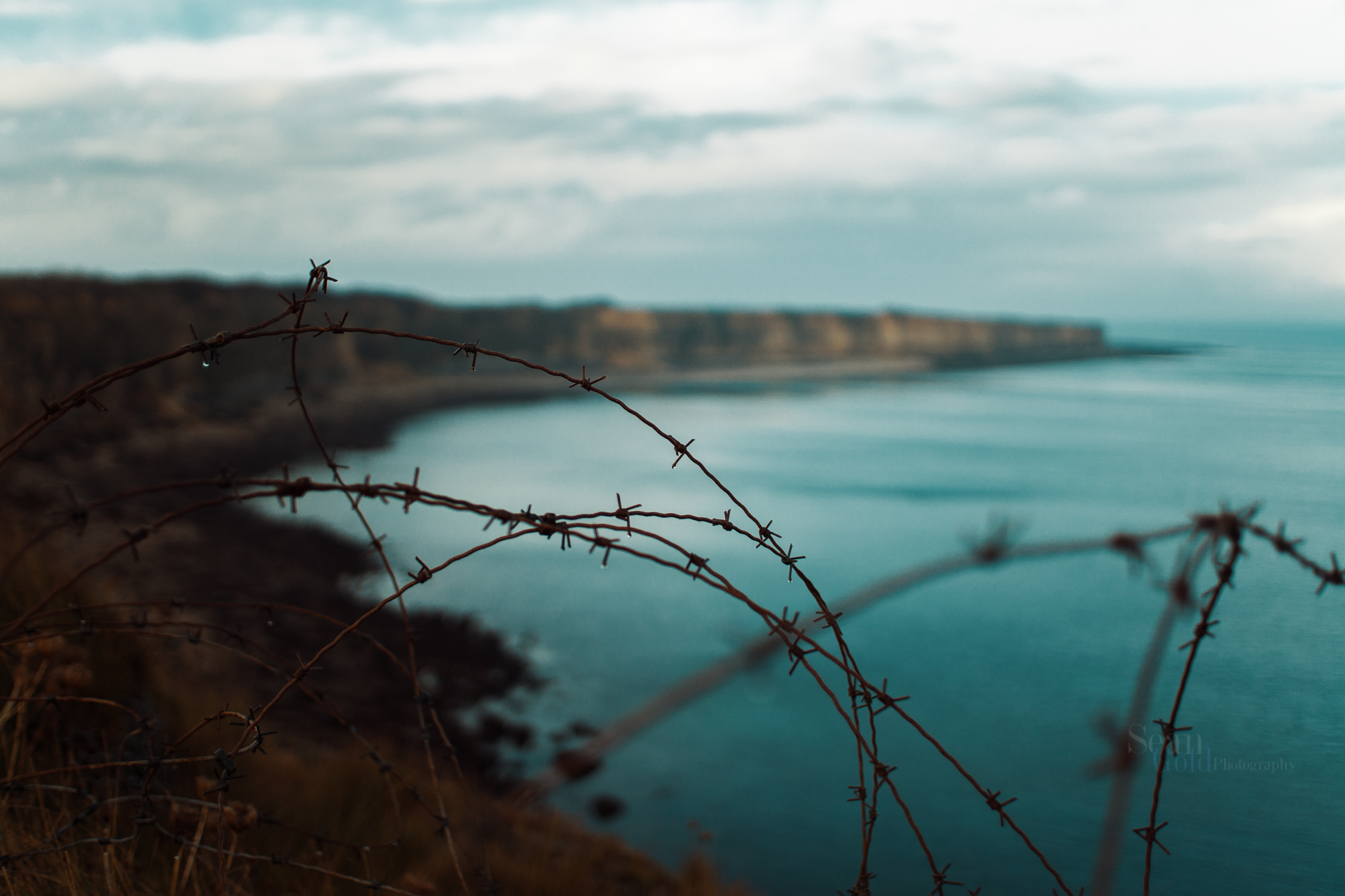 Sean_Gold_November 01, 2018_51361-WebExport.jpg