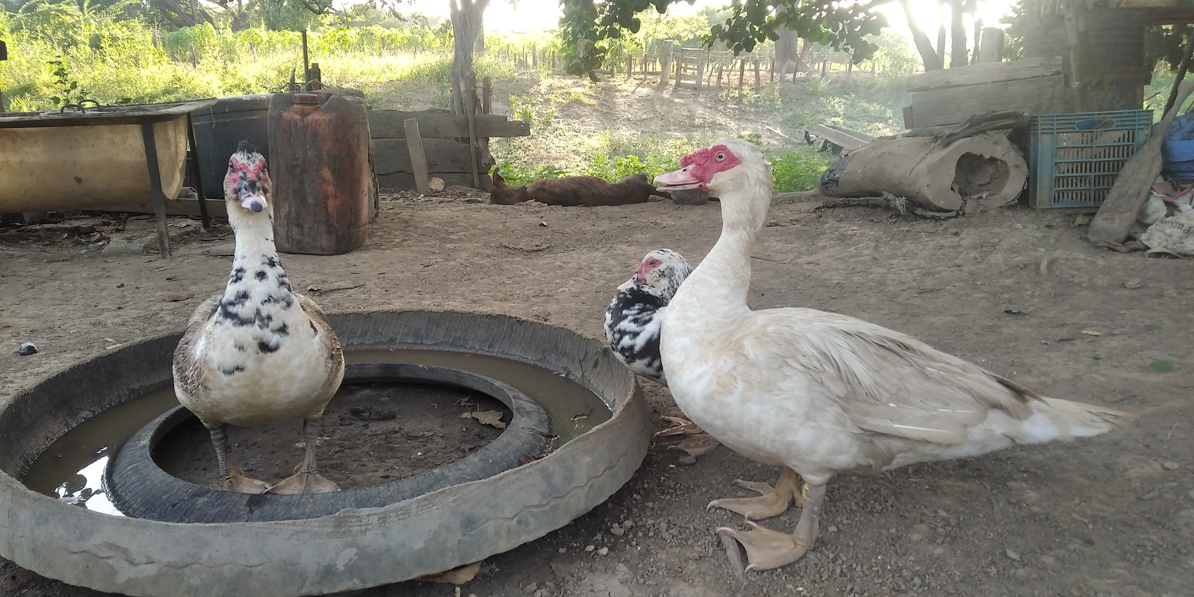 IMG_20231222_165634.jpg