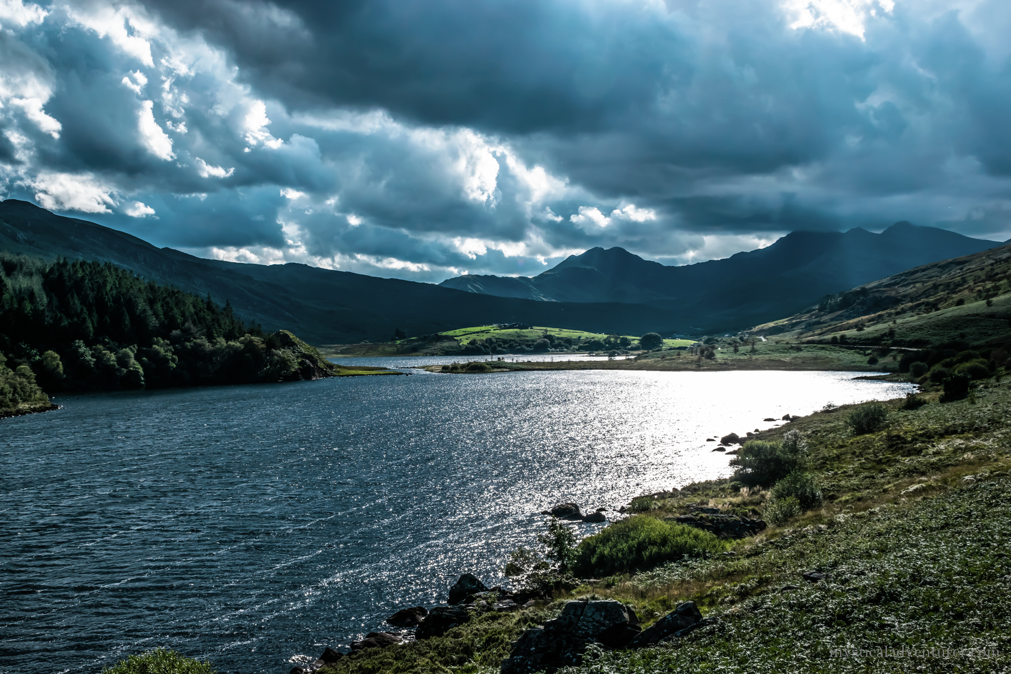 DSC_0719-3.jpg