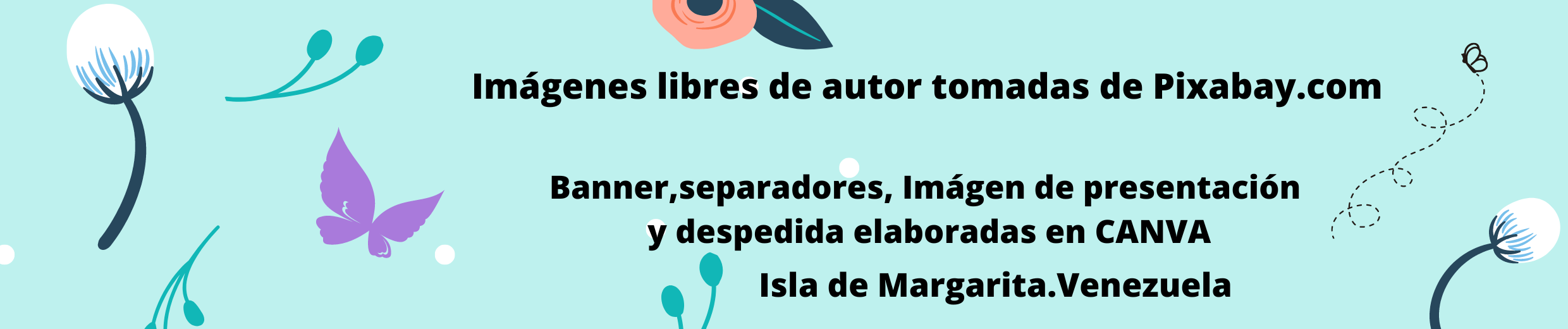 Azul Claro Naranja Ilustración Floral General Soundcloud Banner (1).png