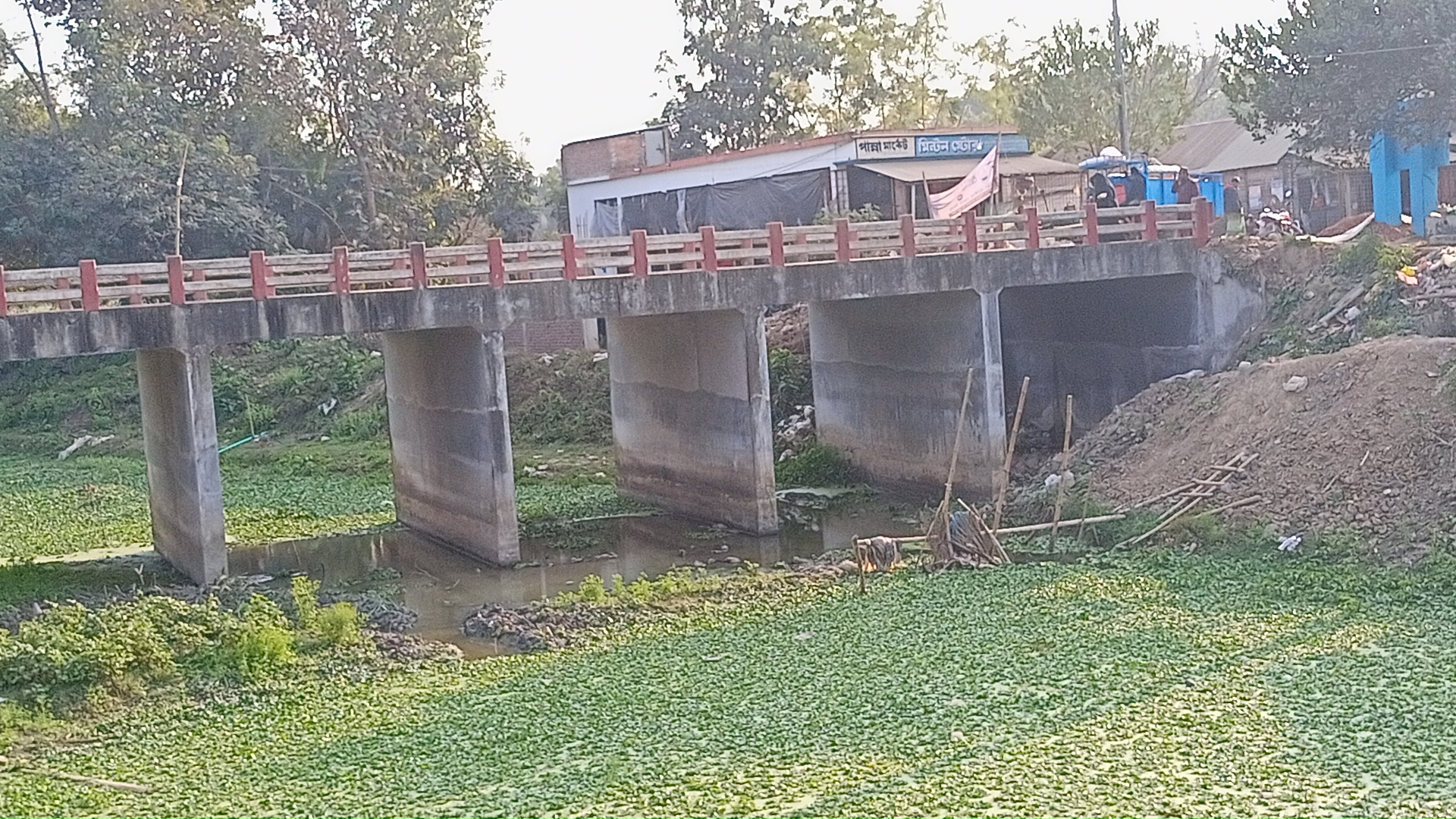 IMG20260208155822.jpg