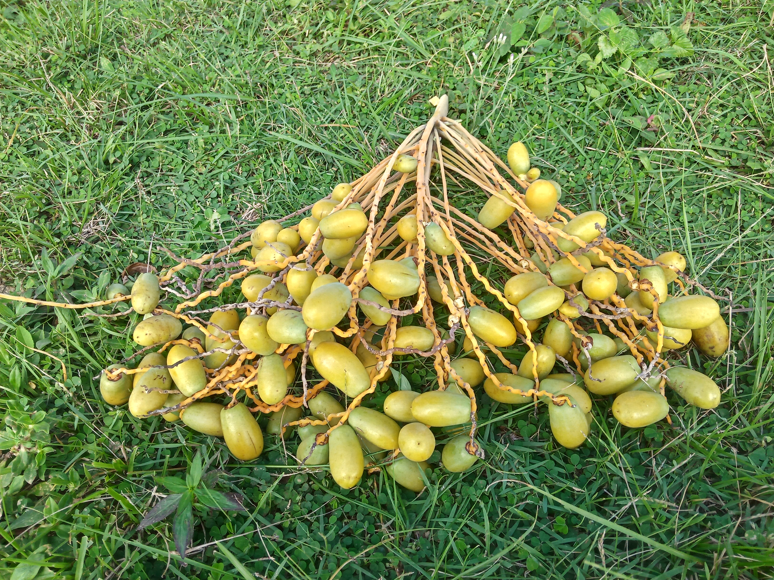 IMG20210630151919.jpg