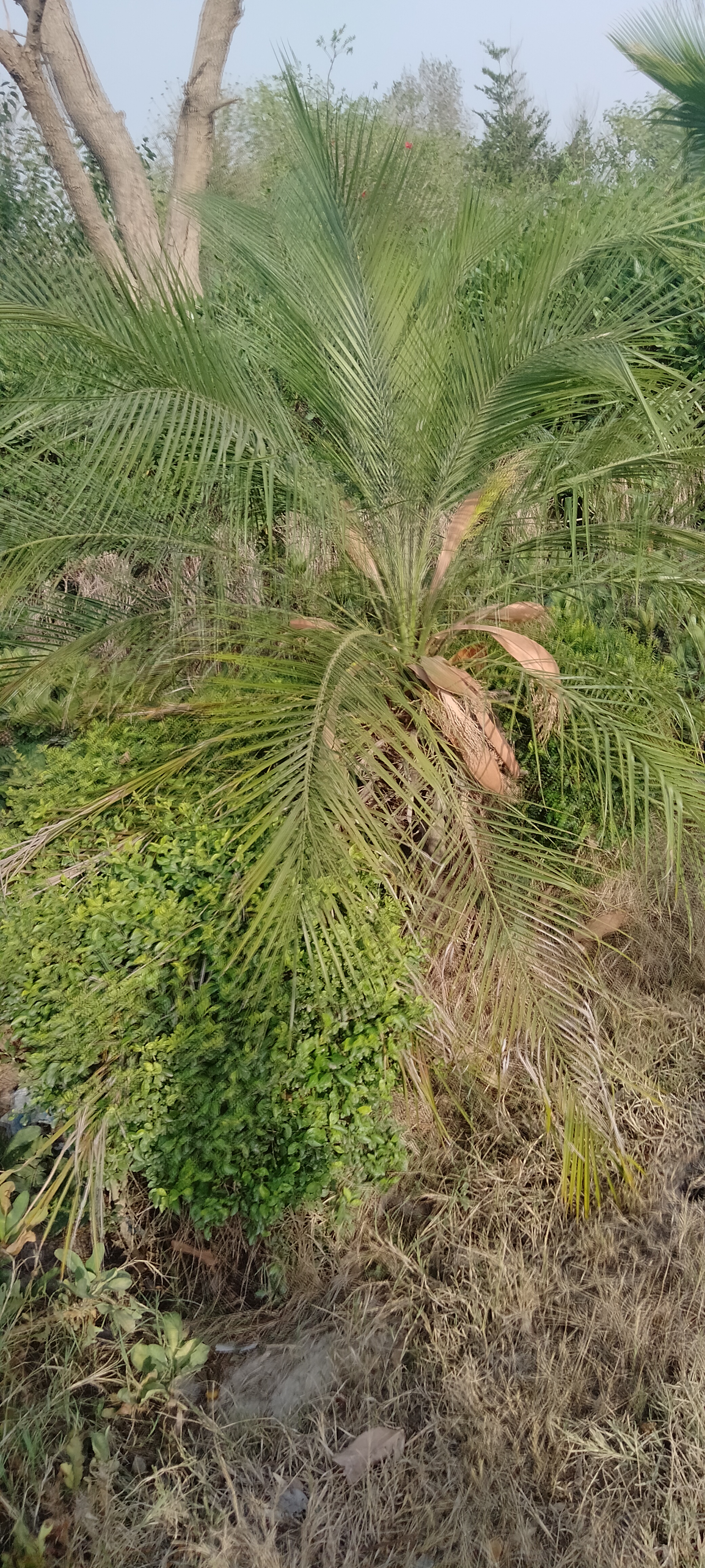 IMG20210604165708.jpg