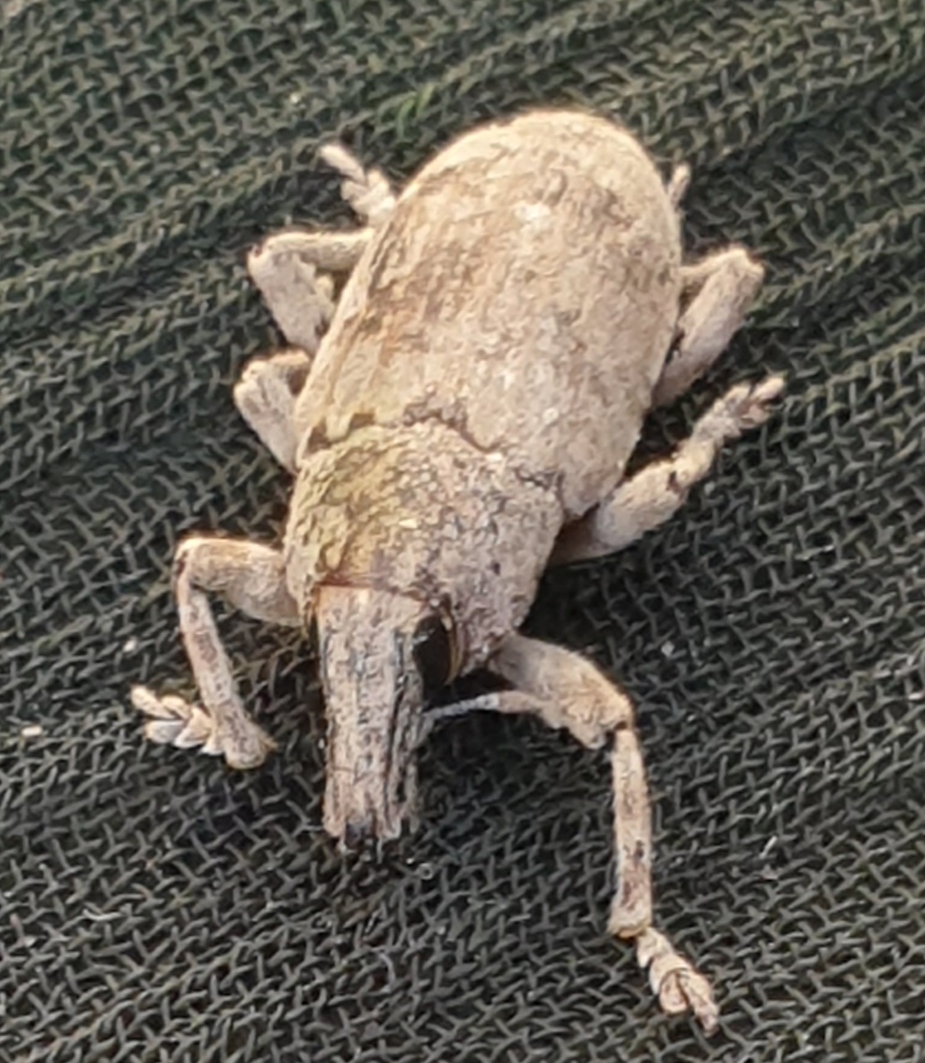 20260125_173231.jpg