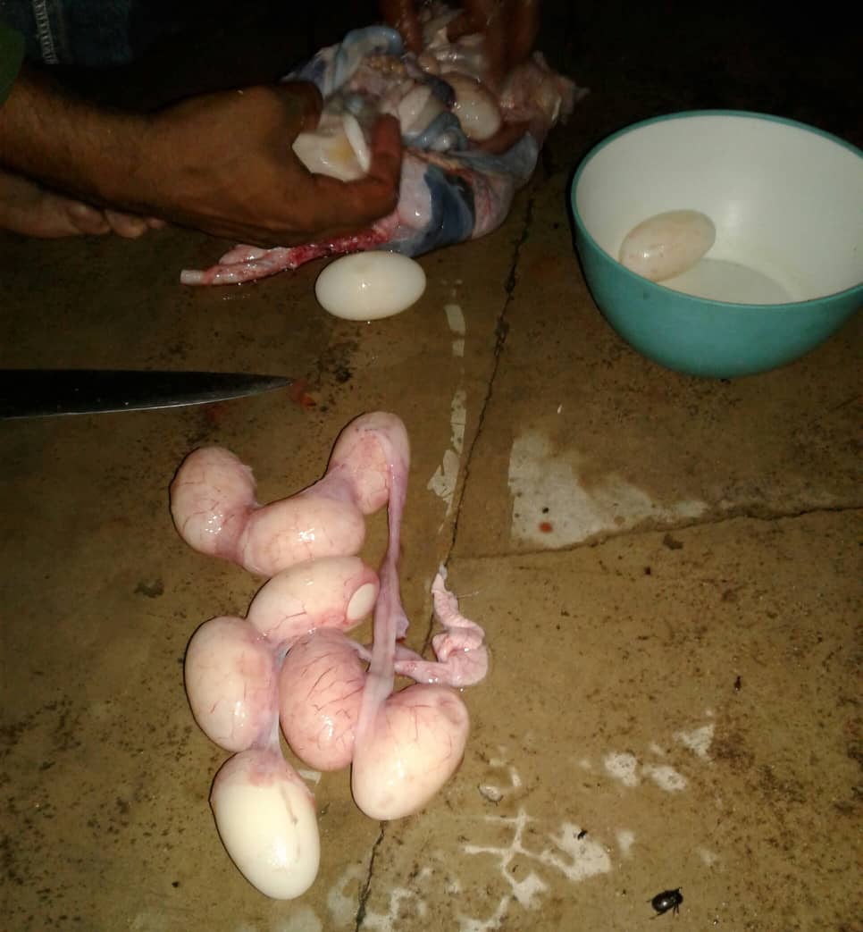 WhatsApp Image 2019-08-04 at 12.47.59 PM.jpeg