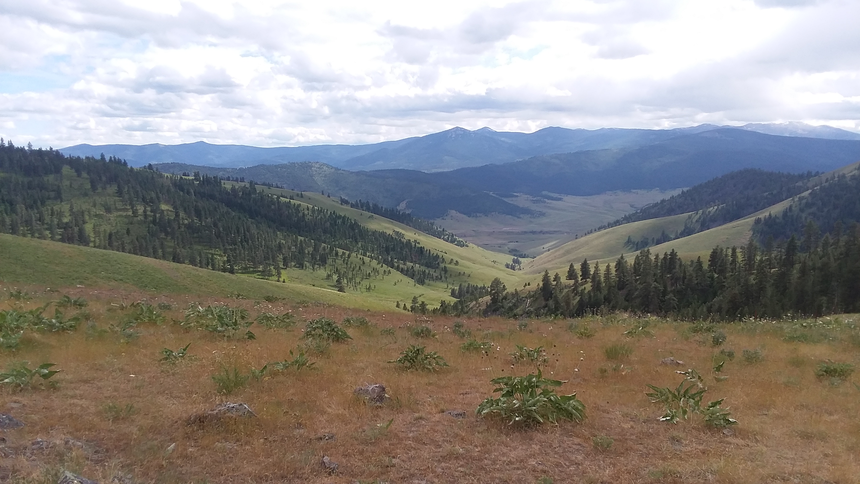 20190623_165225.jpg
