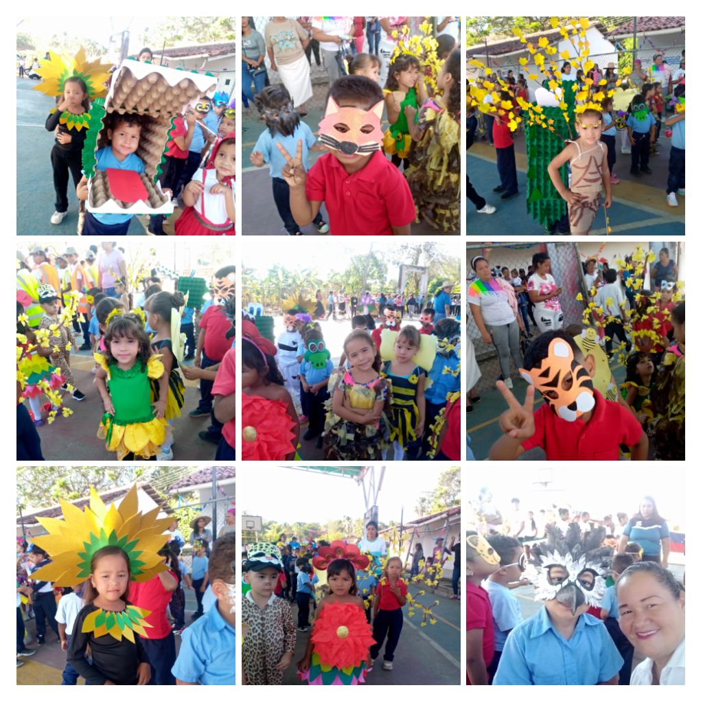 IMG_20260219_155730-COLLAGE.jpg
