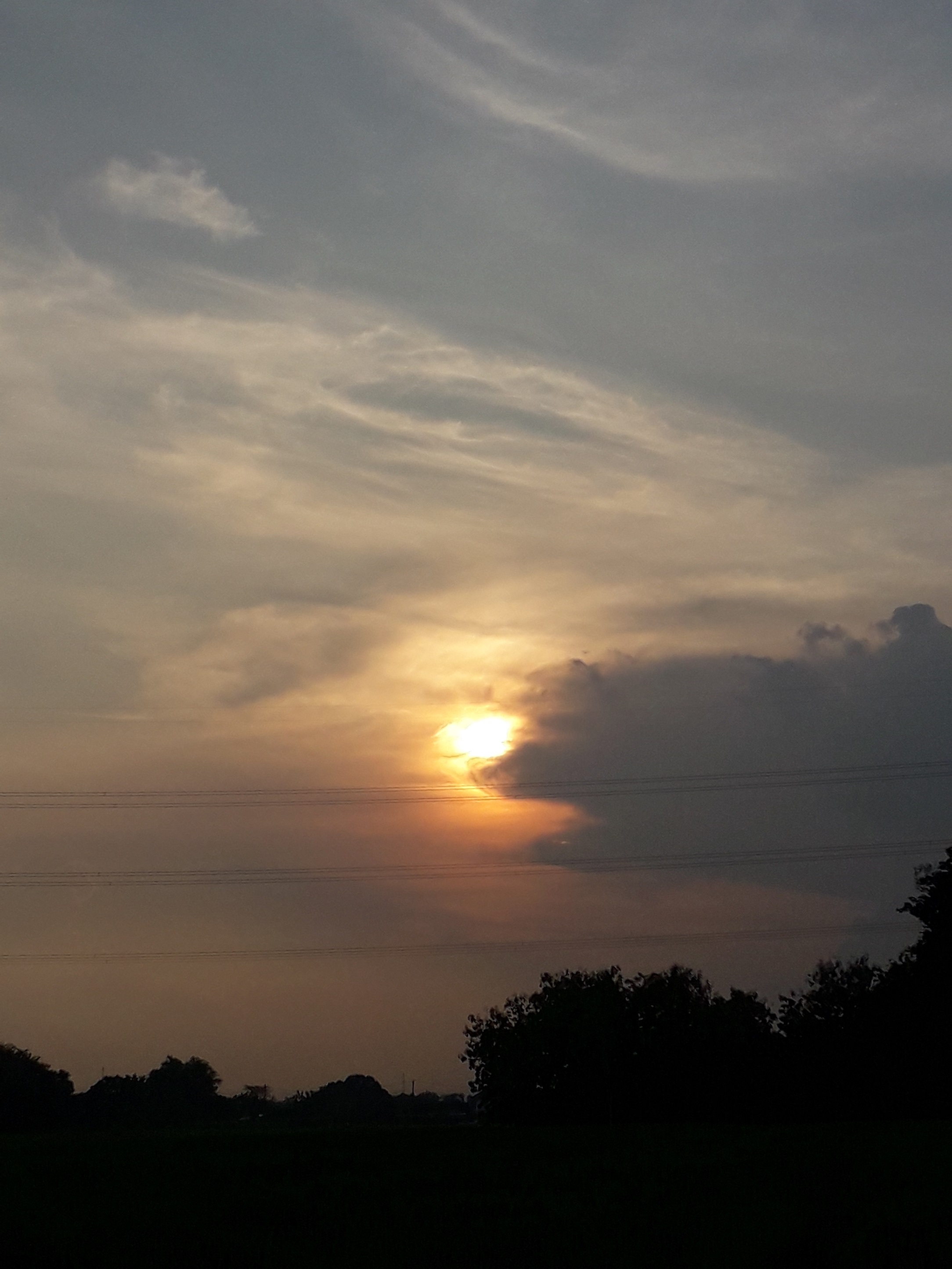 20220517_164503.jpg