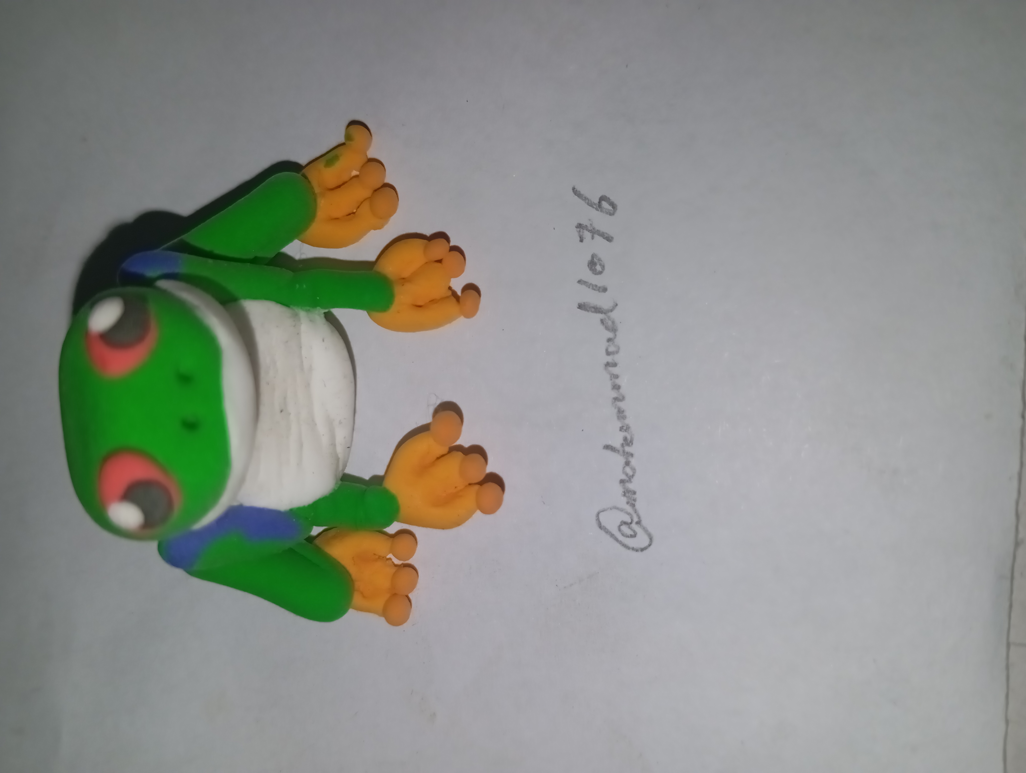 1000064591.jpg