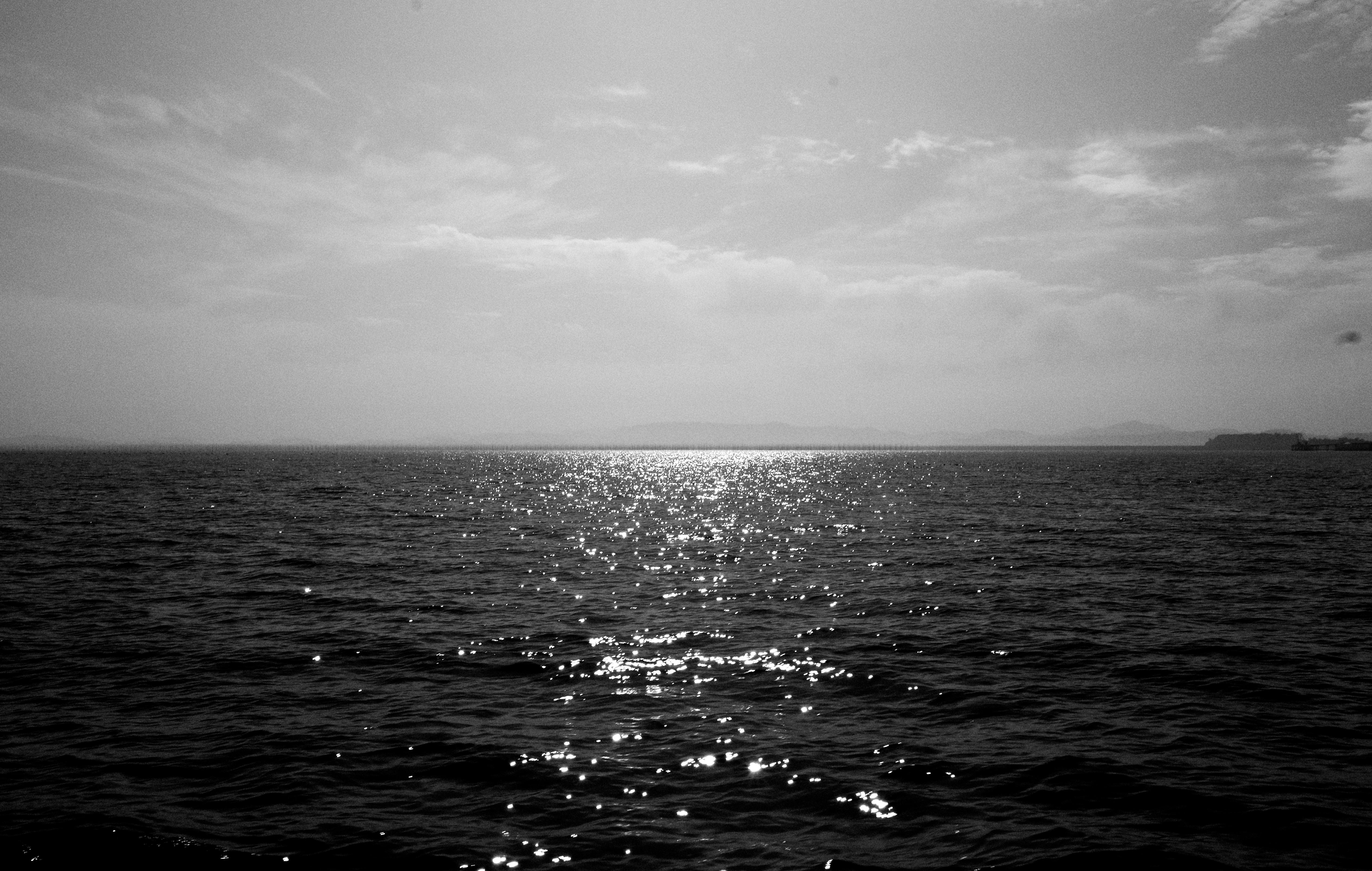 DSCF4565.jpg