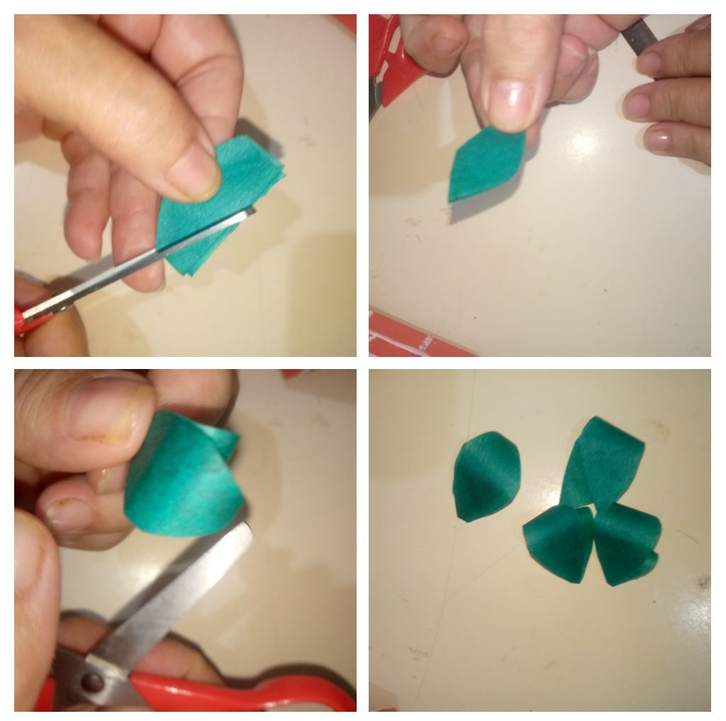 IMG_20260816_202204-COLLAGE~2.jpg