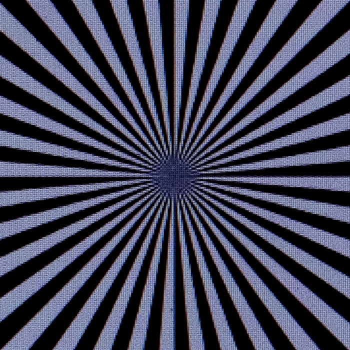 05 Zeiss-8,0-DSCF6835-fs_cr-c.jpg
