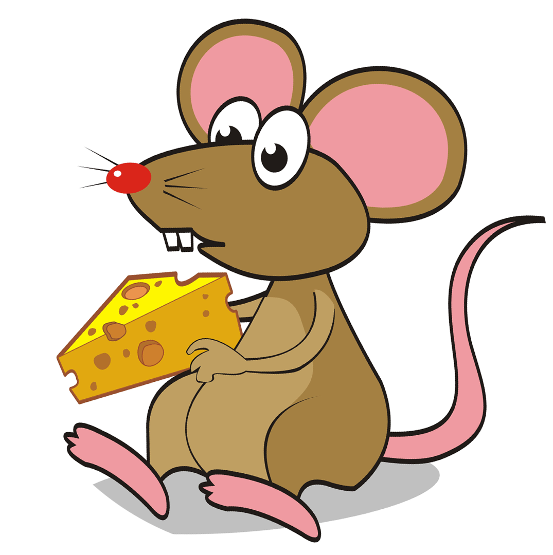 Disconnected Rat png.png