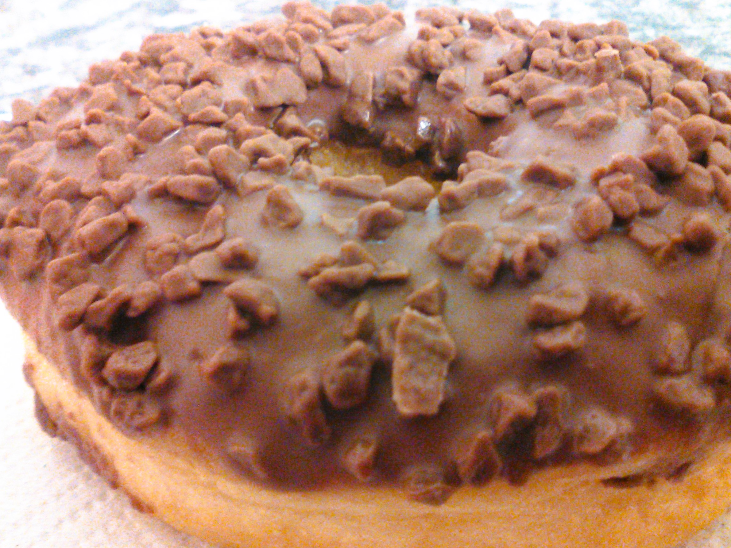 Food Photography, Big Choc Covered Donut Close-up Pack From Work May 29 2017.jpg