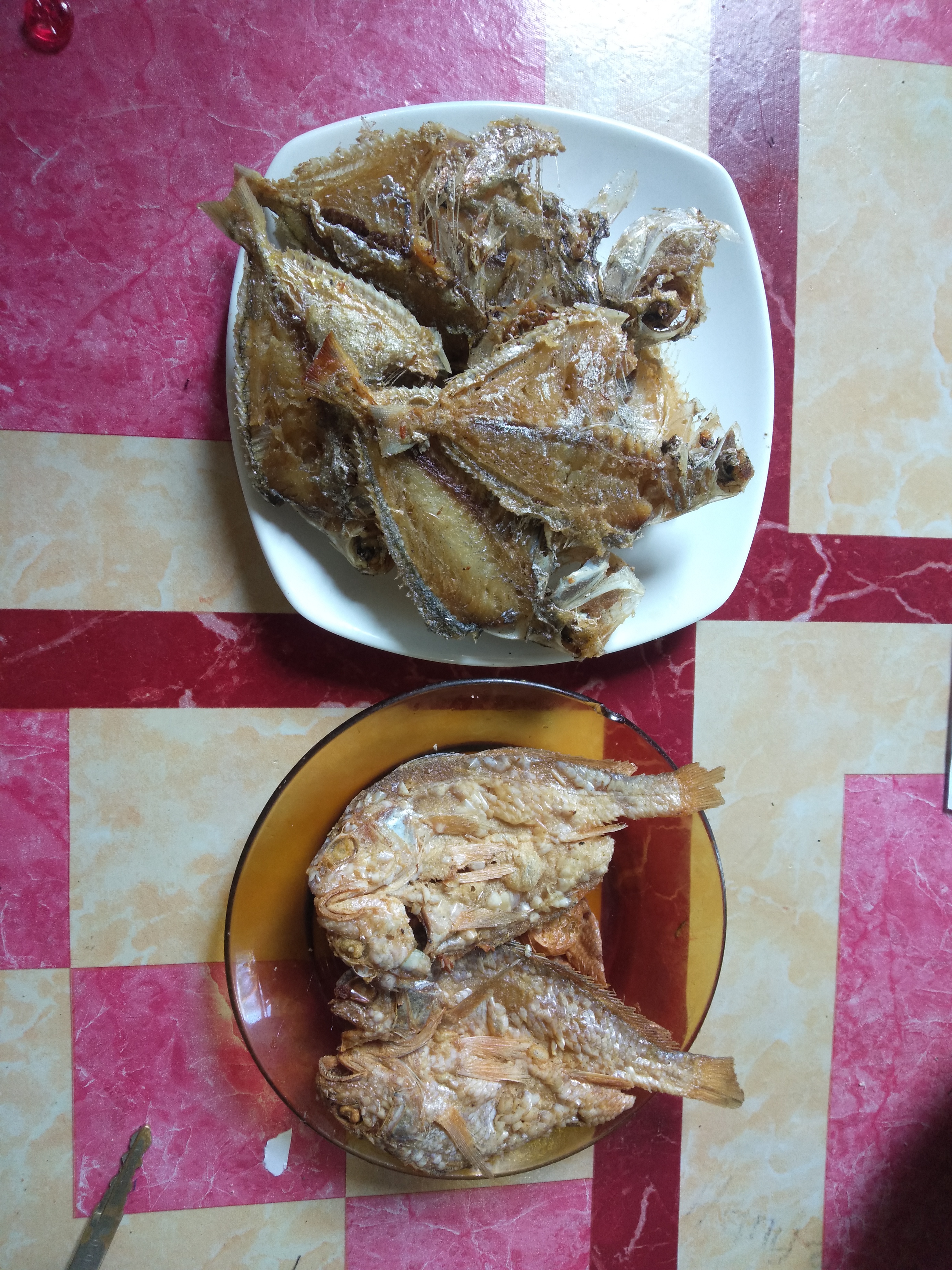 IMG20211023133030.jpg