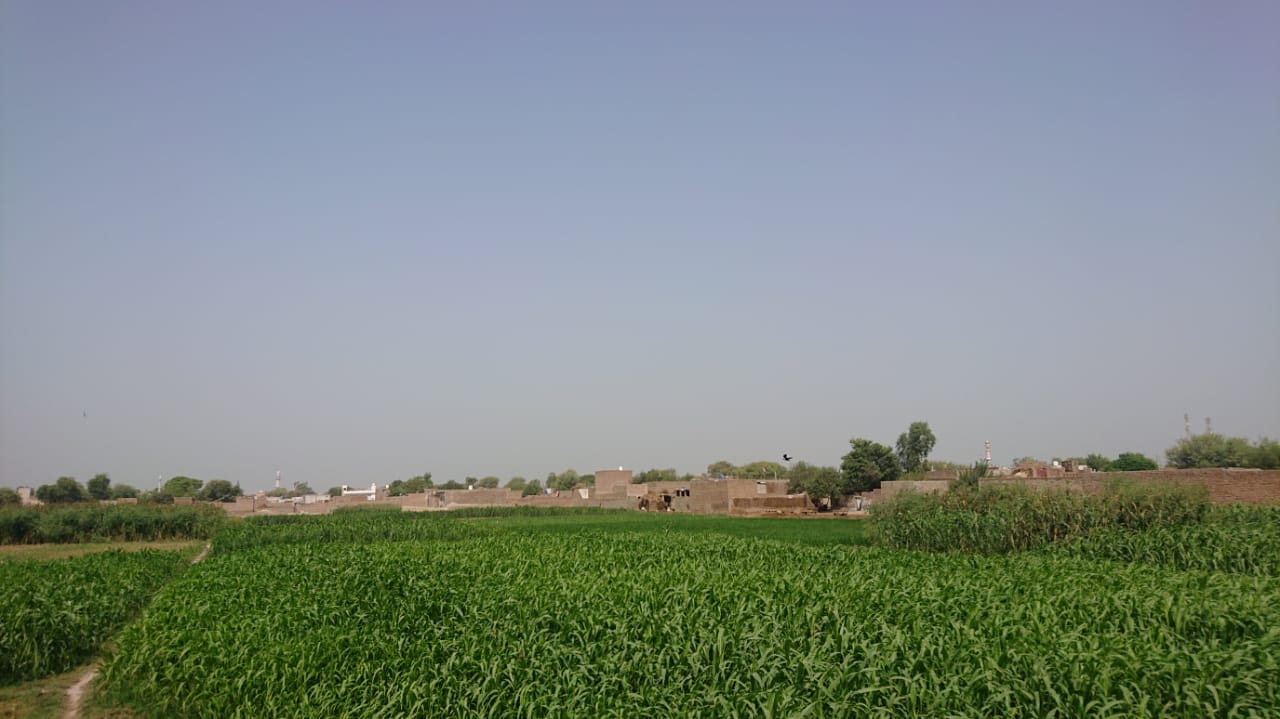 IMG-20210827-WA0043.jpg