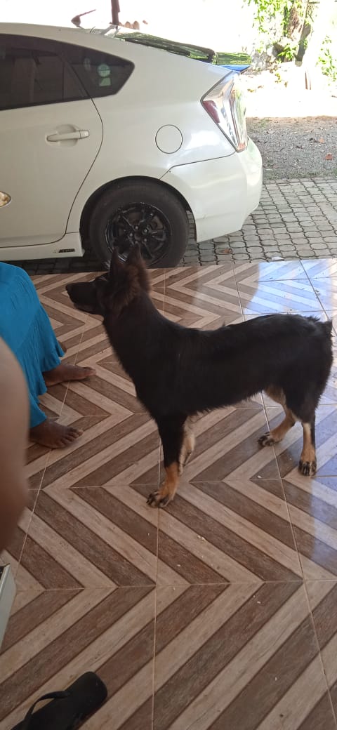 WhatsApp Image 2023-04-19 at 19.32.38(1).jpeg