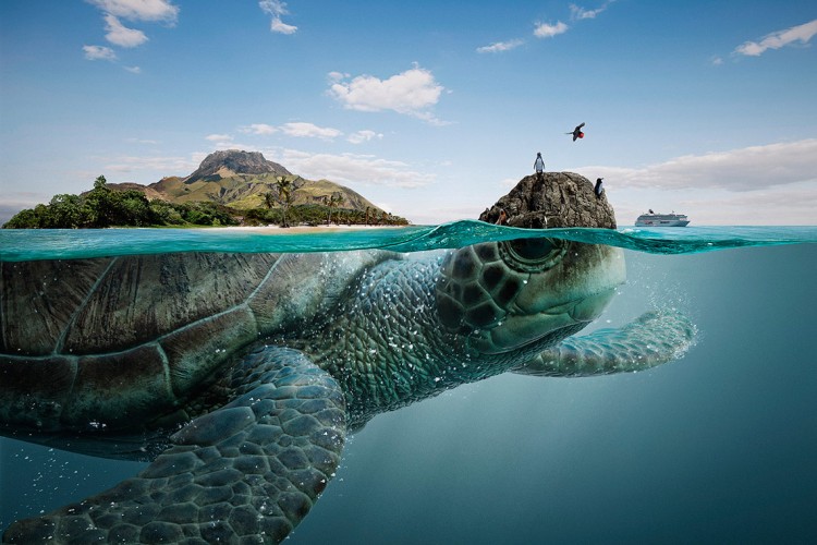 animal-landscape-ecuador-750x500.jpg