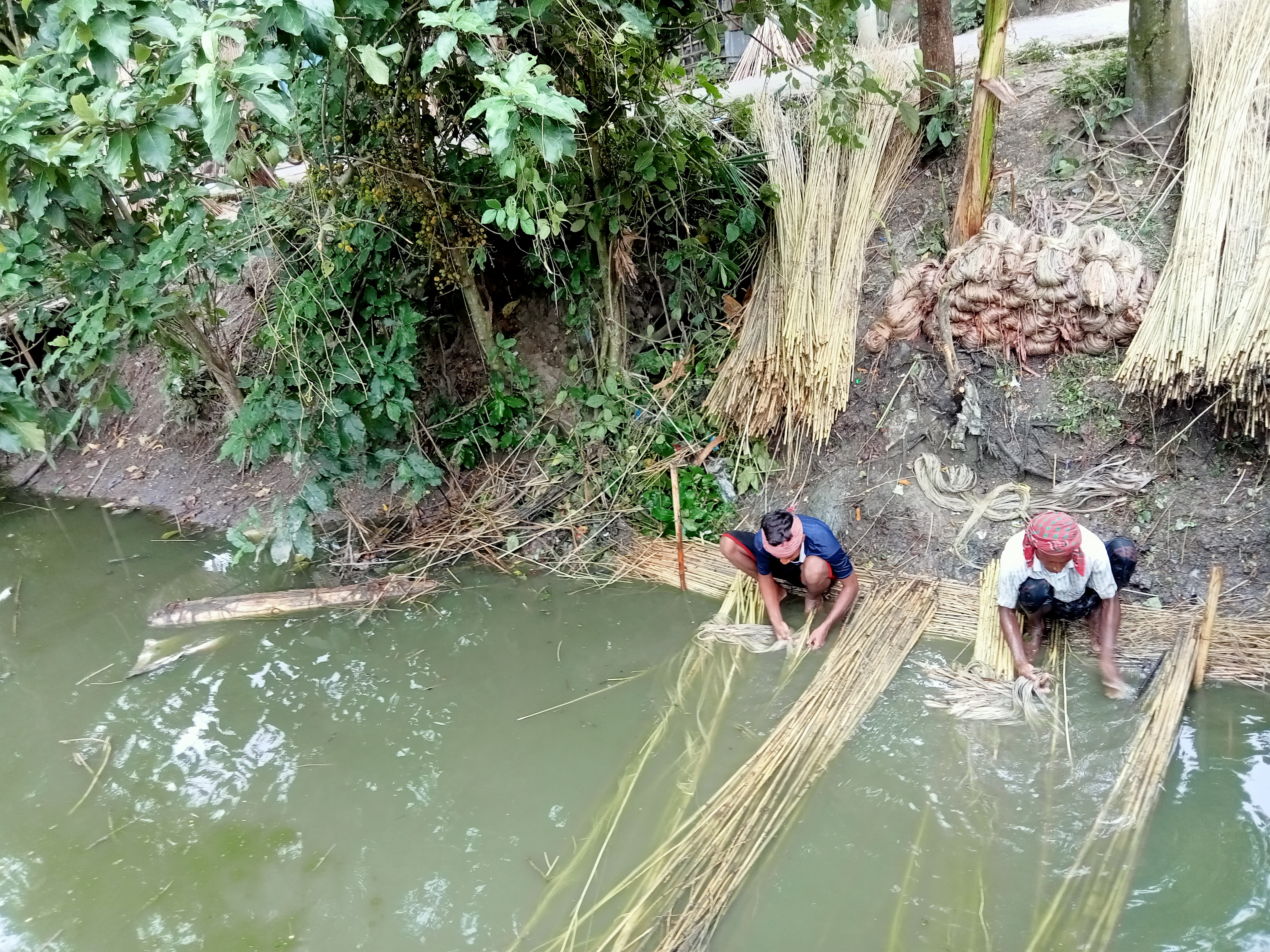 IMG20230920101748.jpg