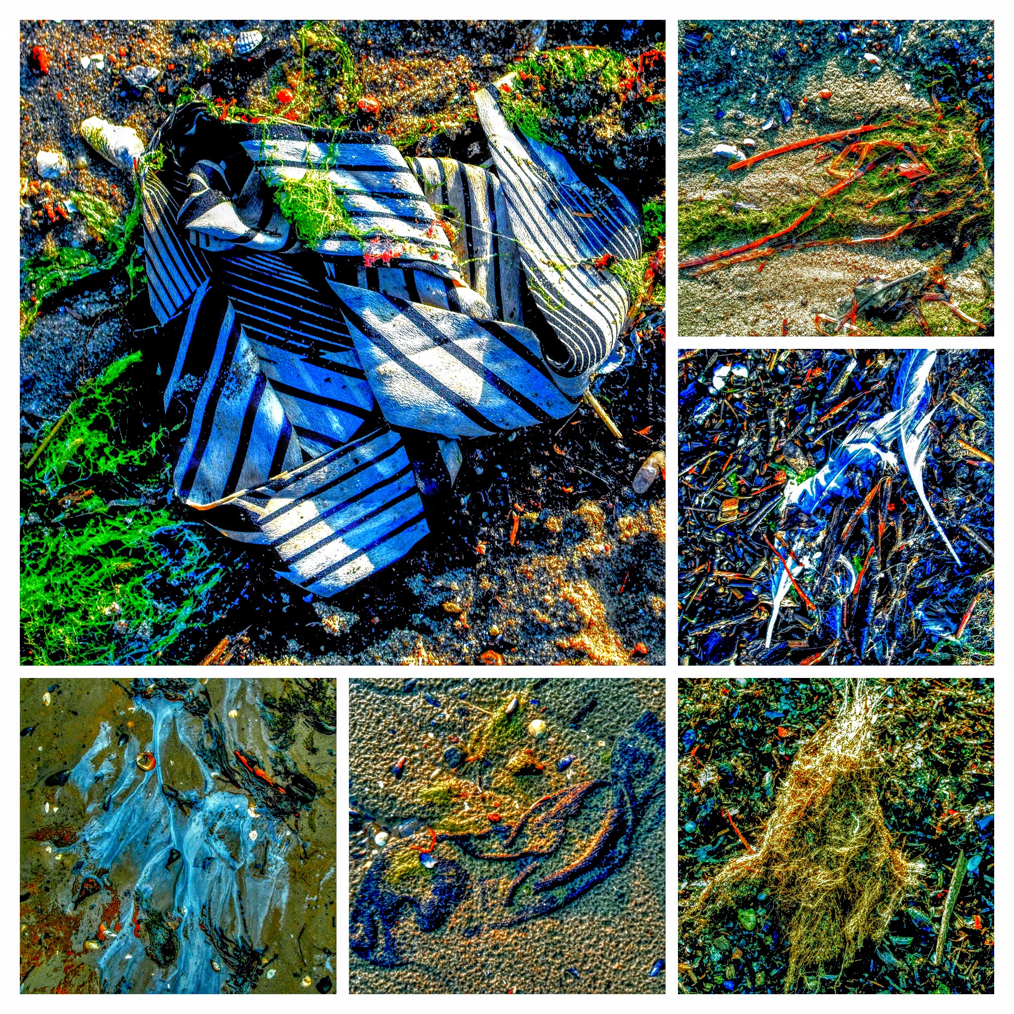 DSCF6043-COLLAGE.jpg