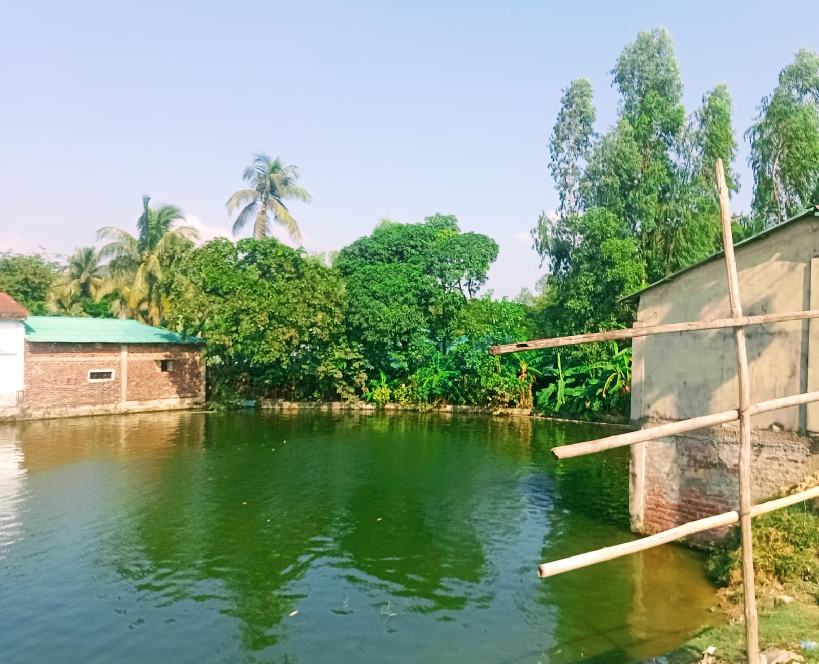 p5.jpg