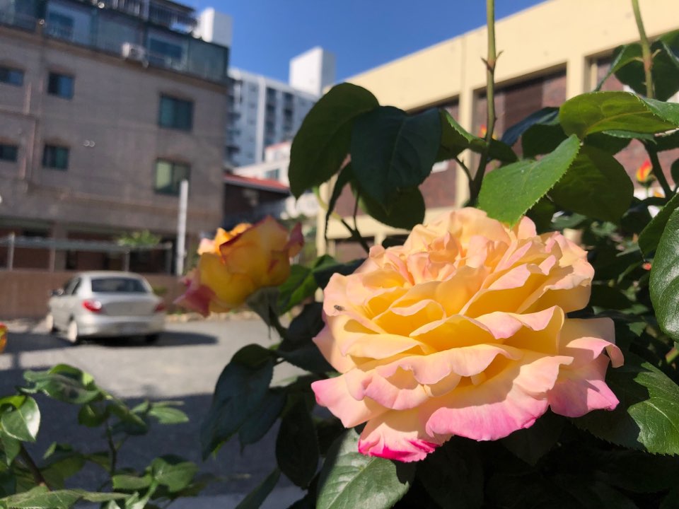 KakaoTalk_20190506_171830392.jpg