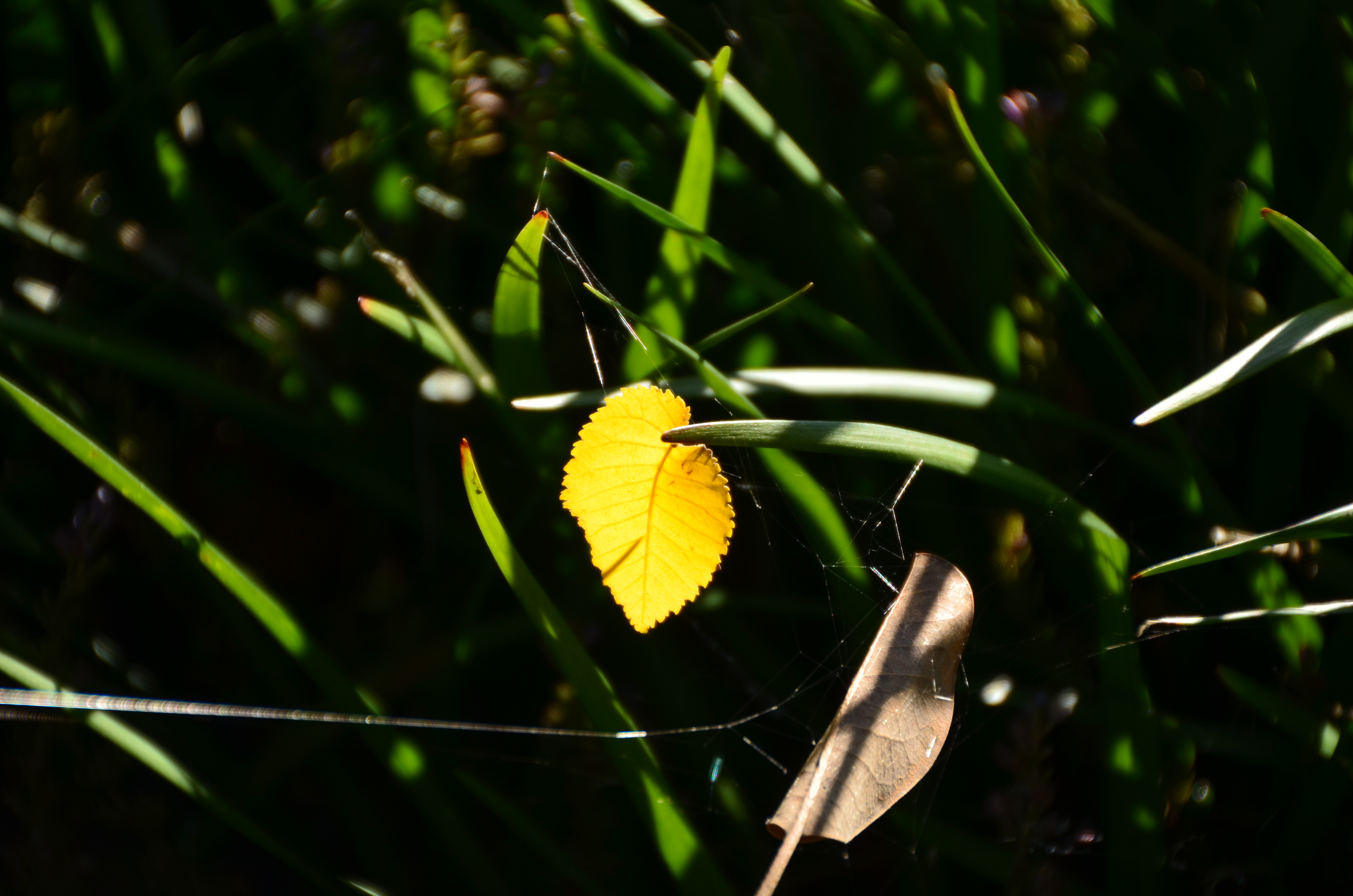 DSC_8024.JPG