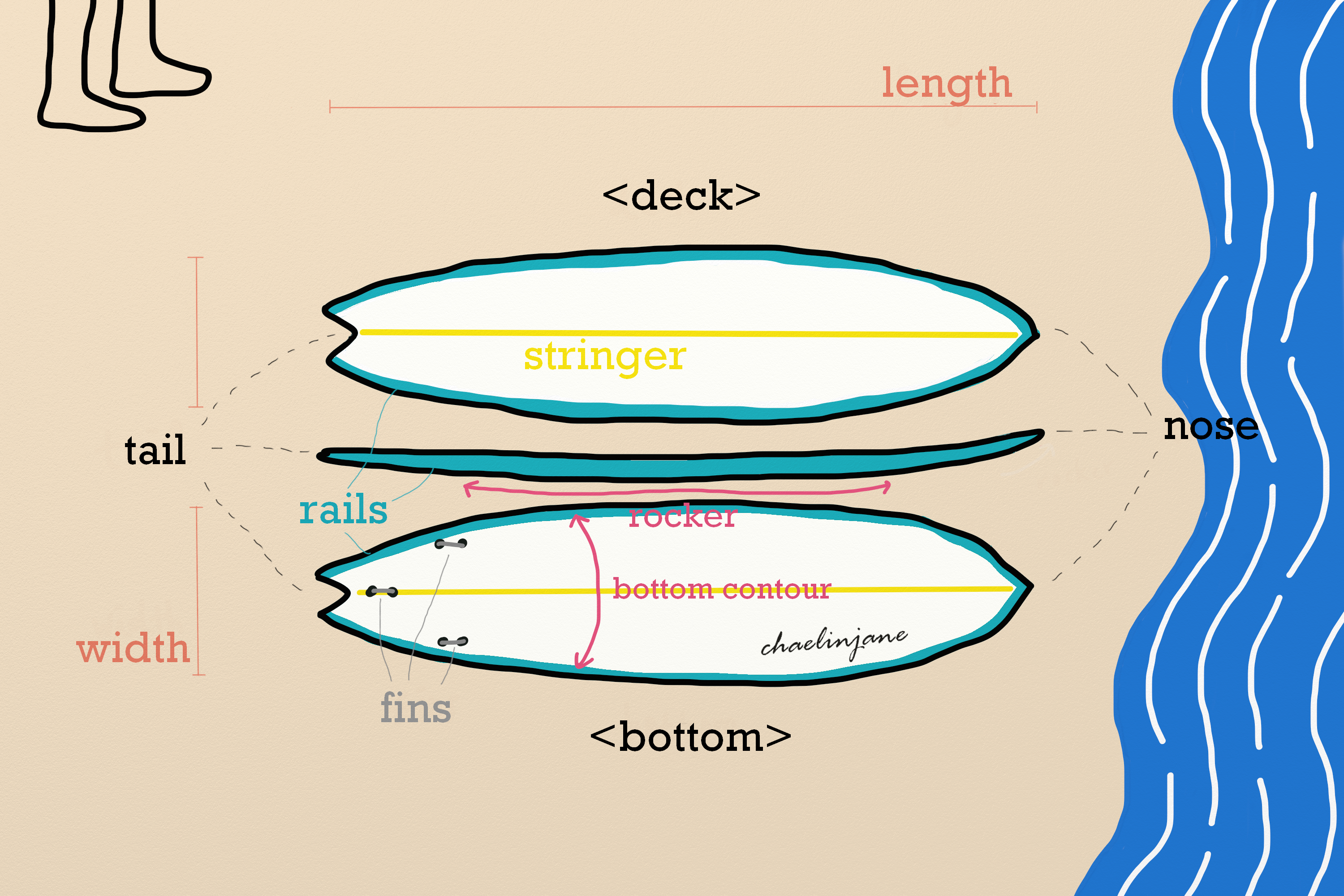 surfboard parts.png