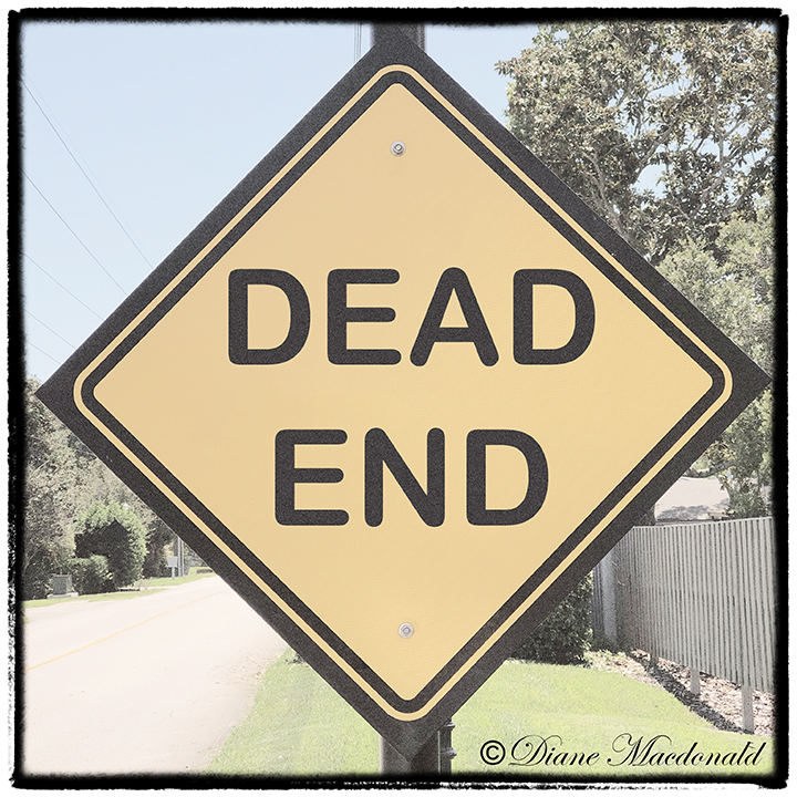DEAD END SIGN.JPG.jpg