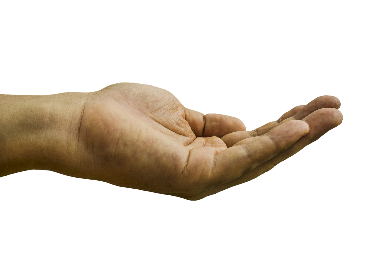 hand-1921036_1280.png