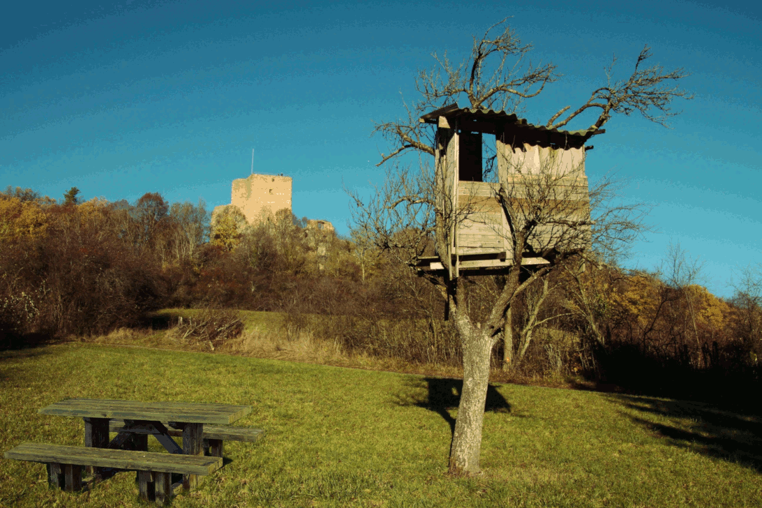picnic table gif2.gif