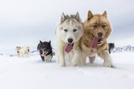 images.jpg