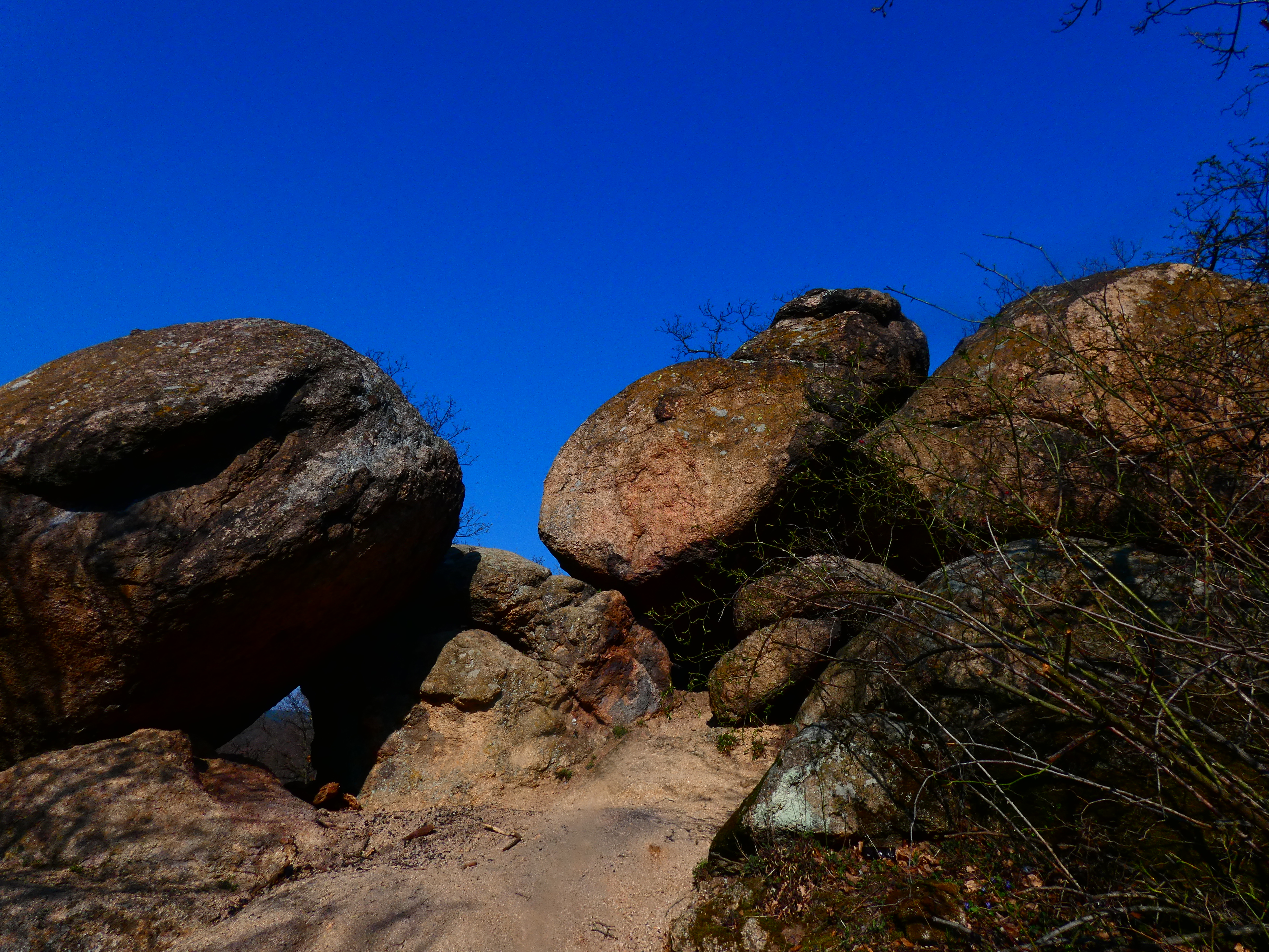 P1230529.JPG