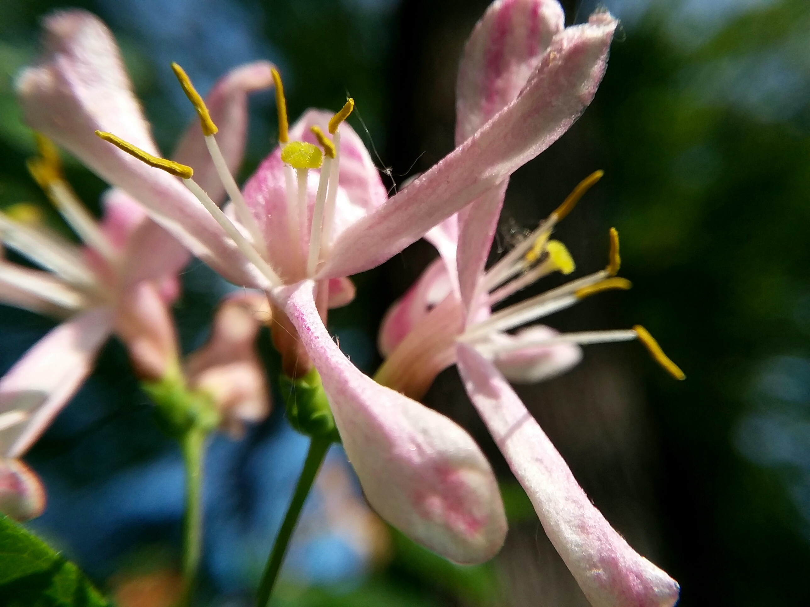 20190625_195353.jpg