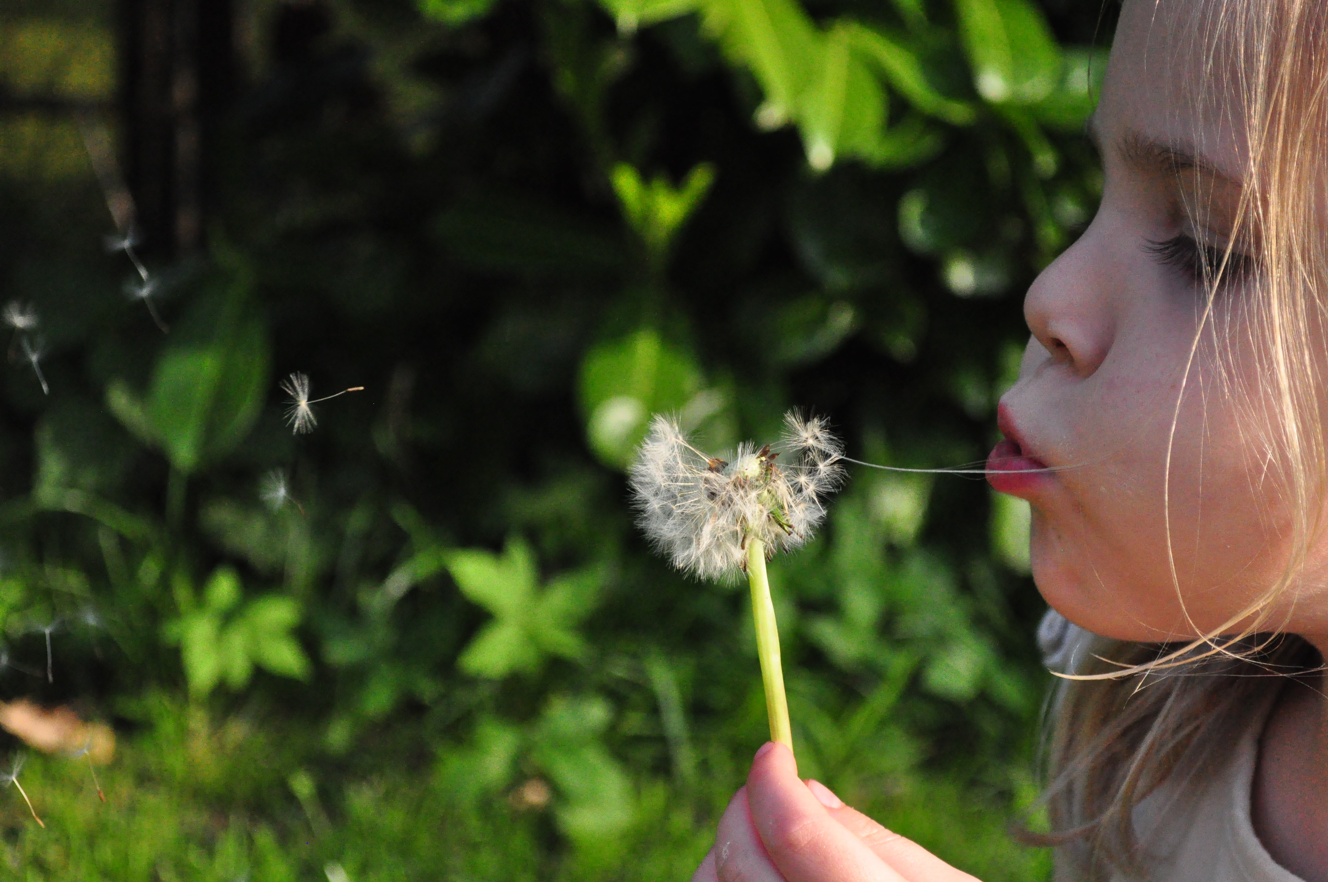 blowing-child-cute-790.jpg