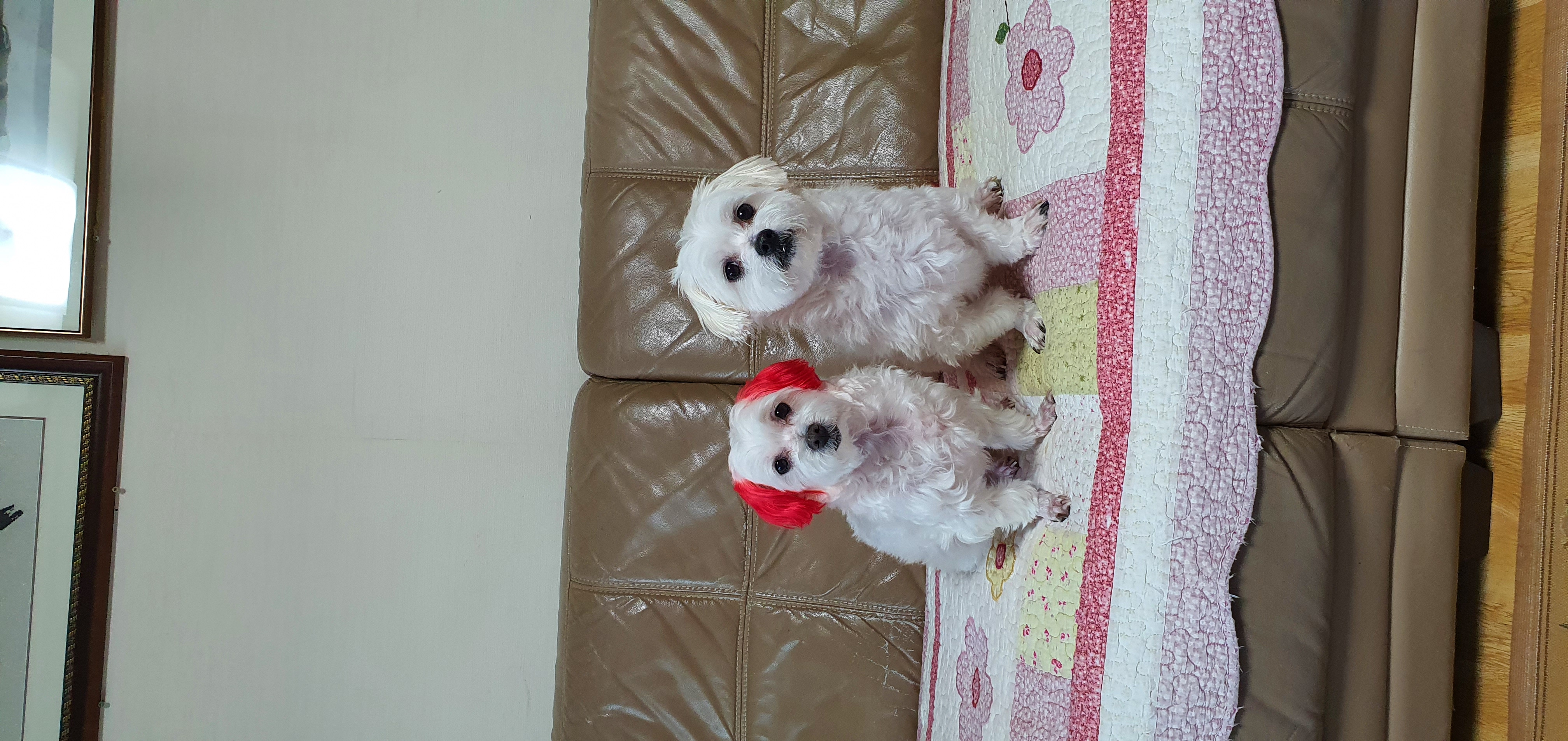 KakaoTalk_20210228_171333878.jpg