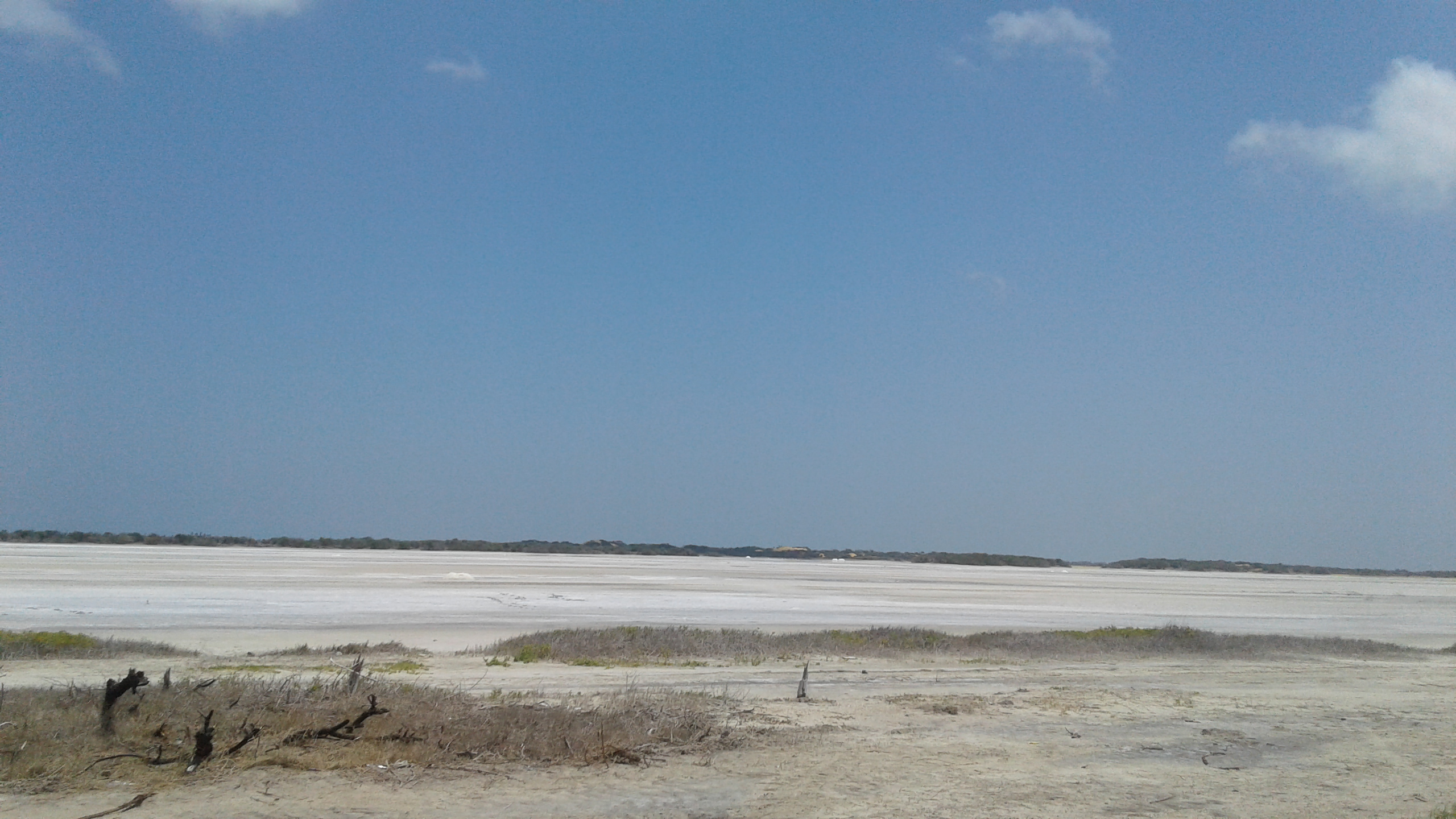 20190916_125101.jpg