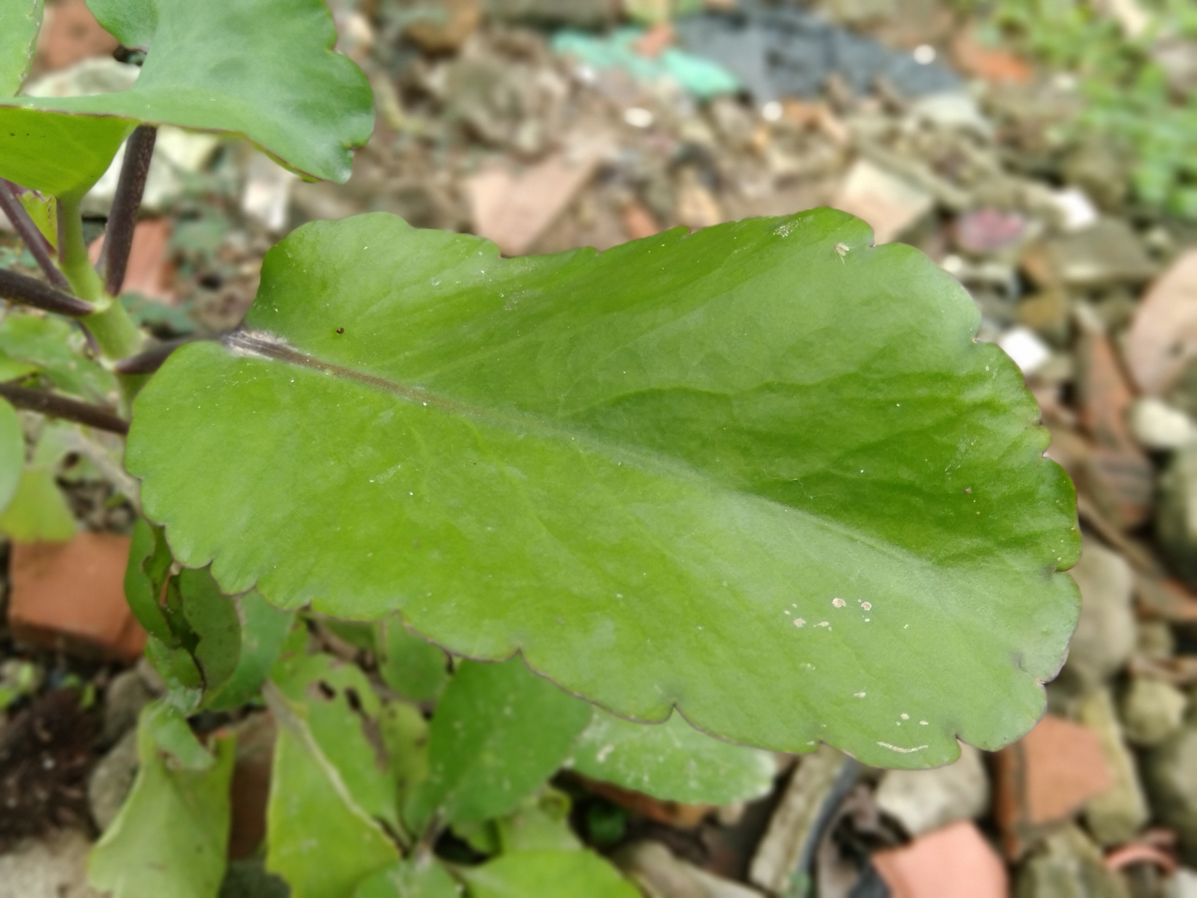 20220829_124612.jpg