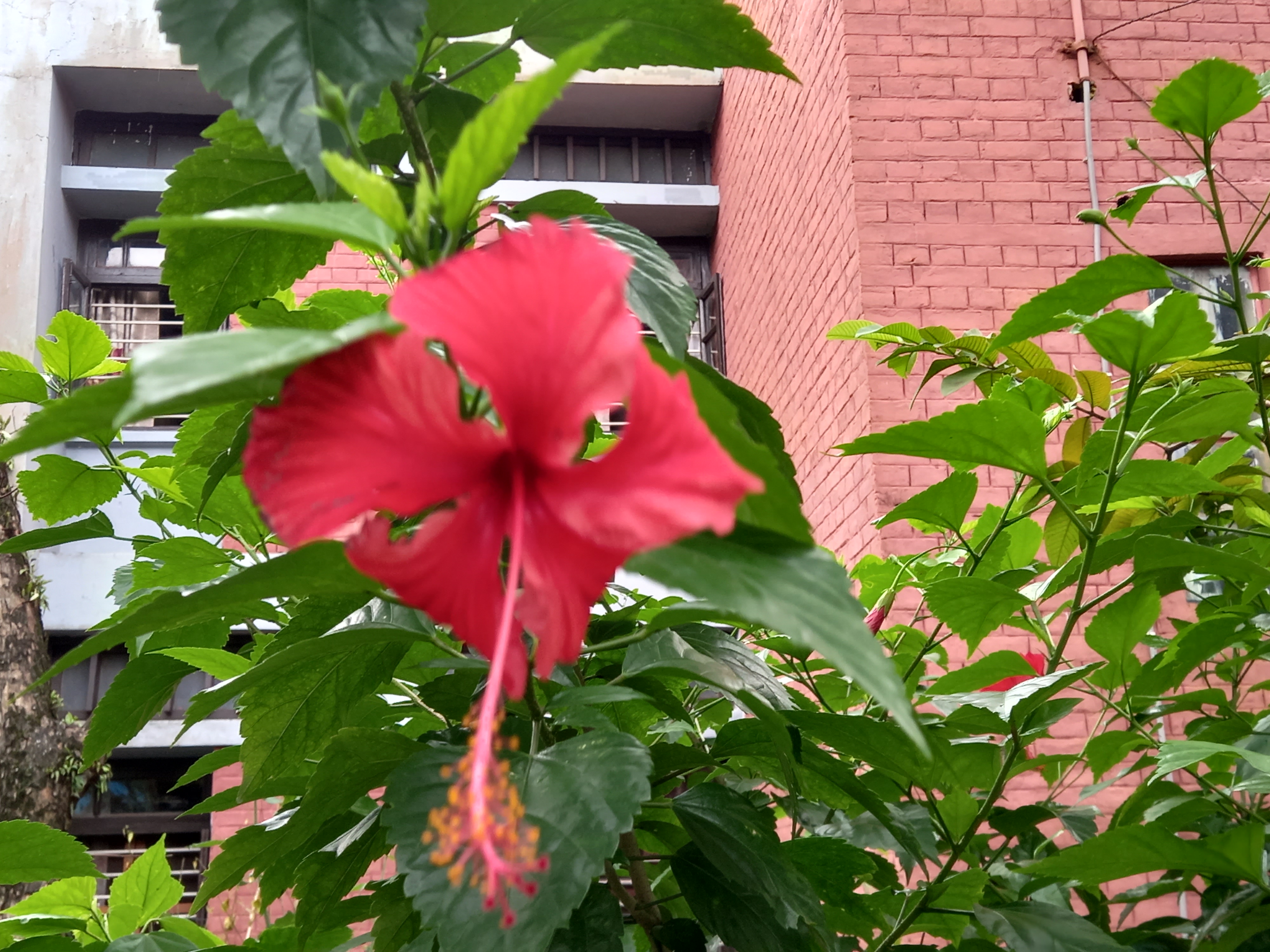 20220703_142255.jpg