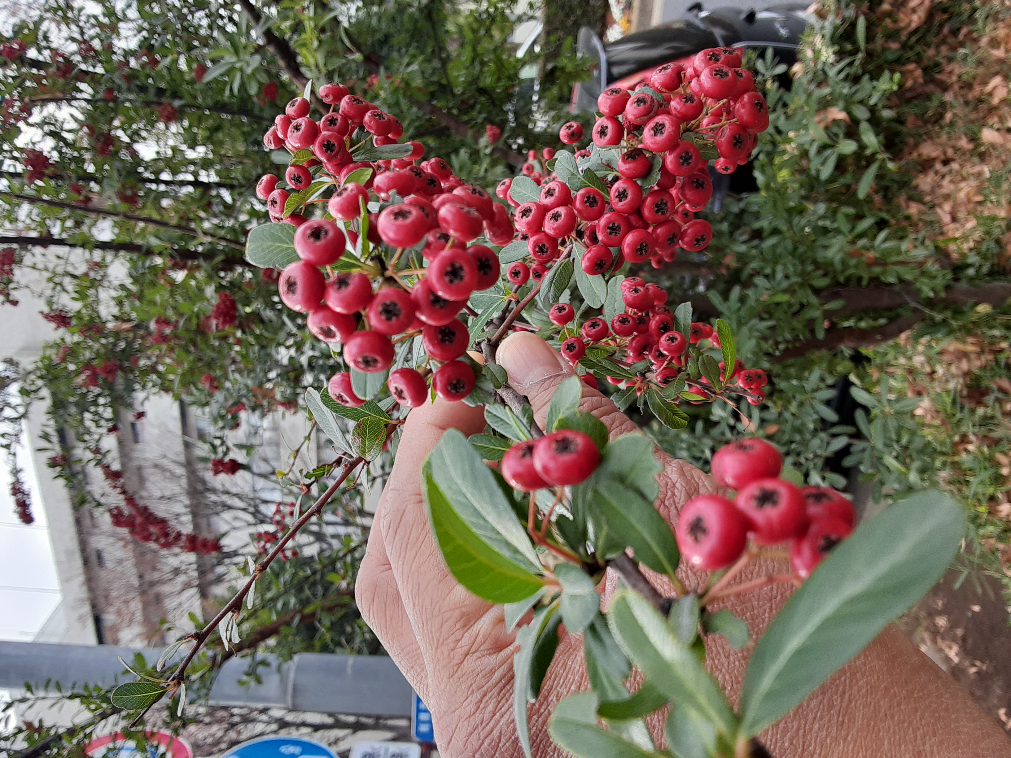 20231224_124012.jpg